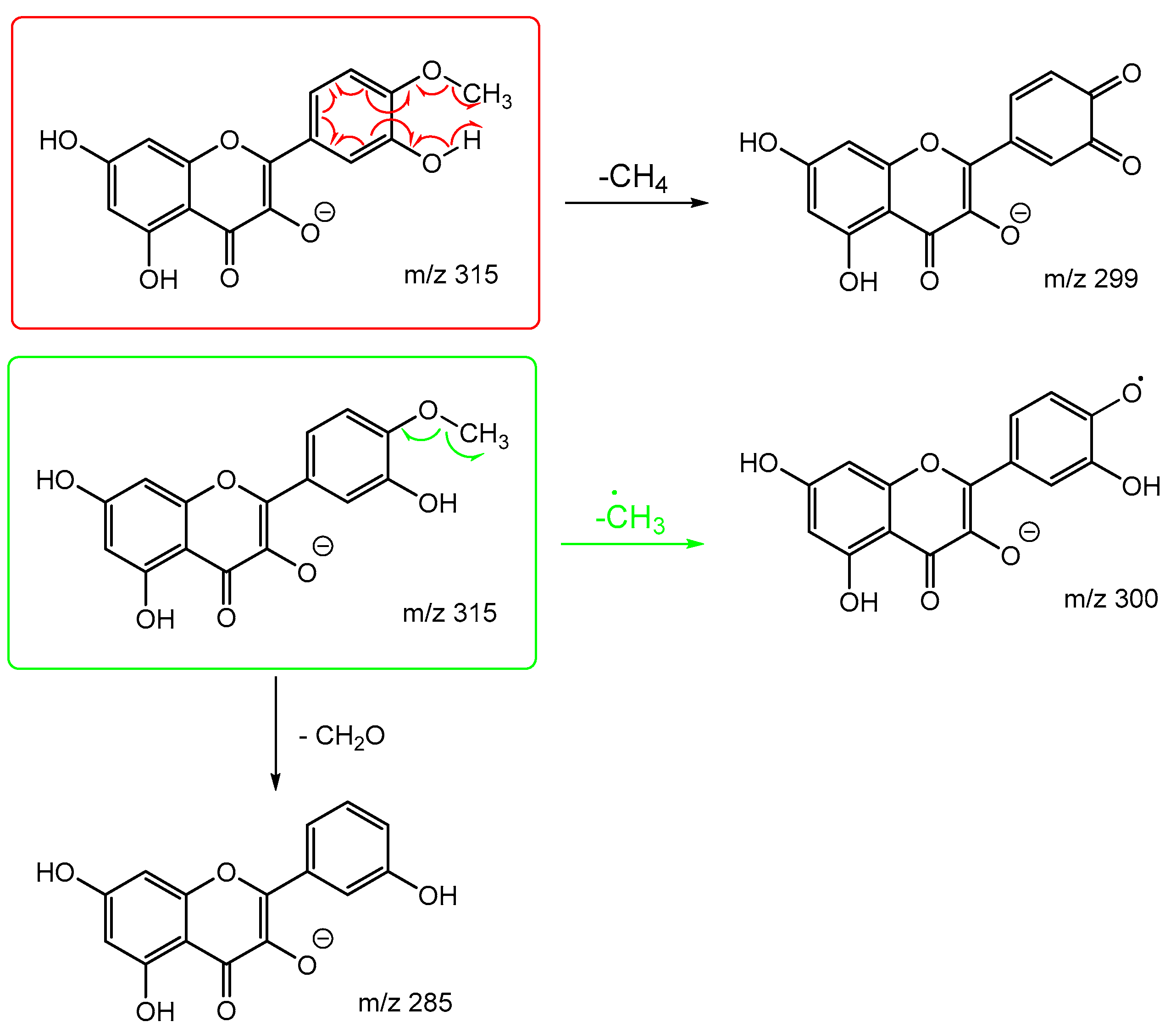 Molecules 29 05246 sch008