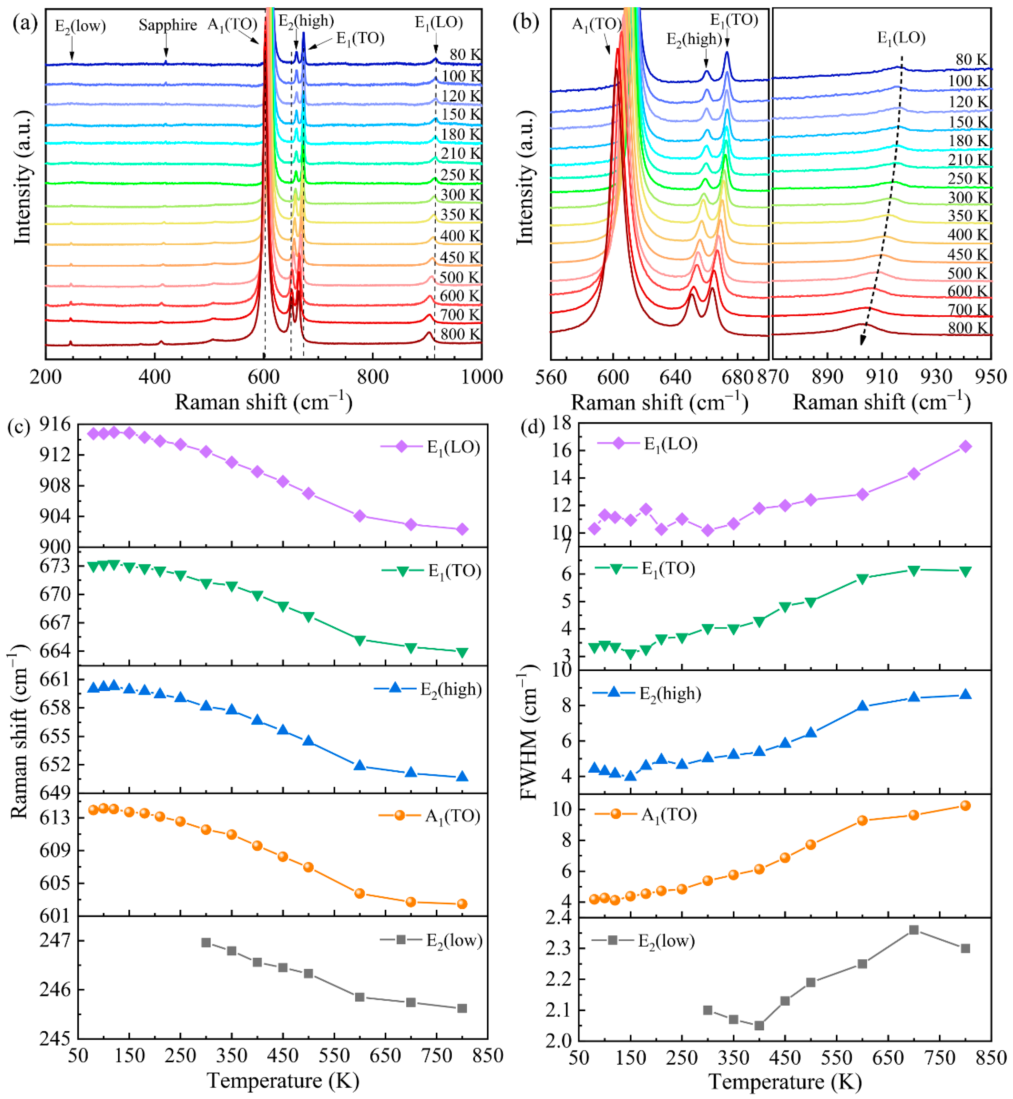Molecules 29 05249 g007