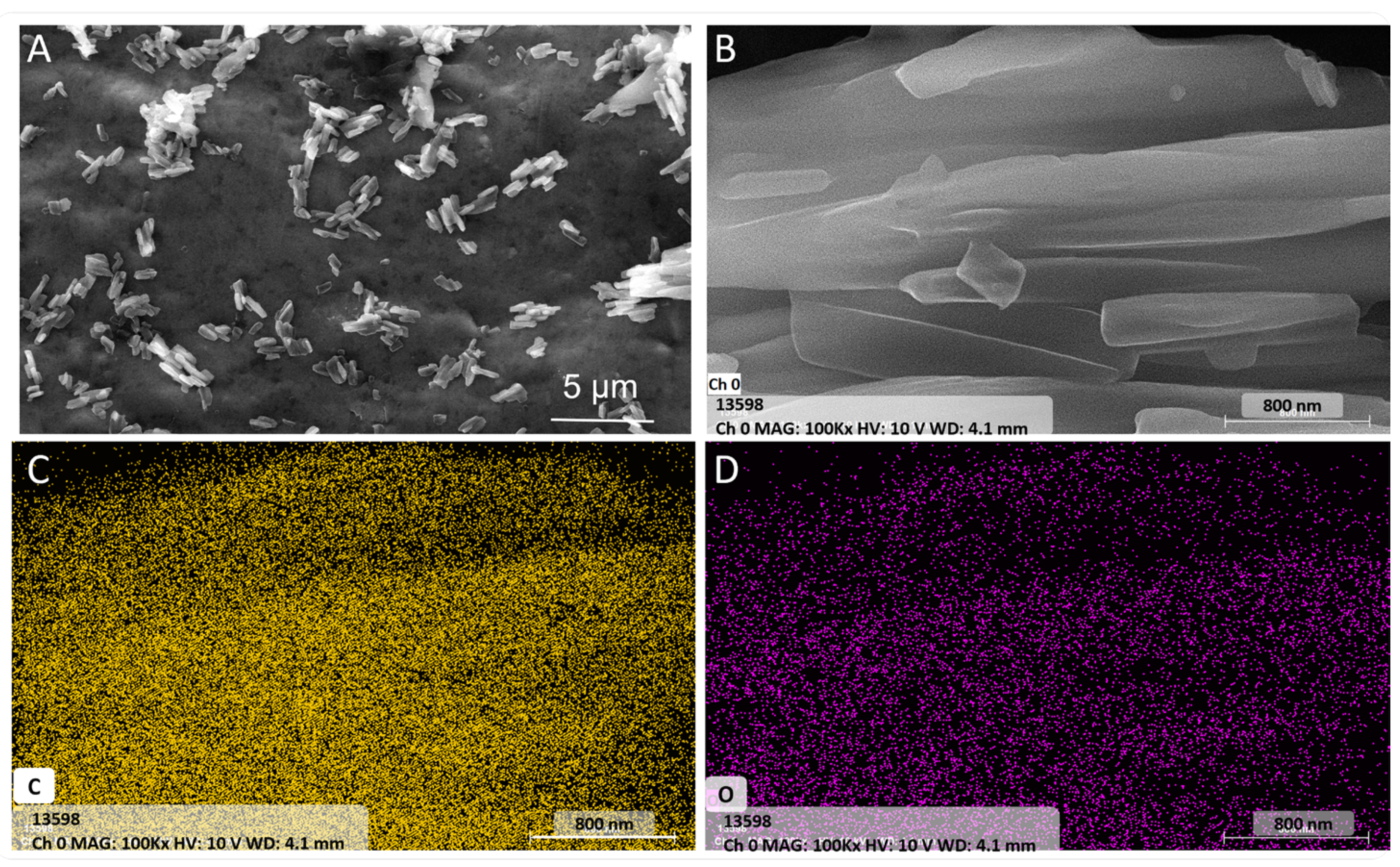 Molecules 29 05254 g001