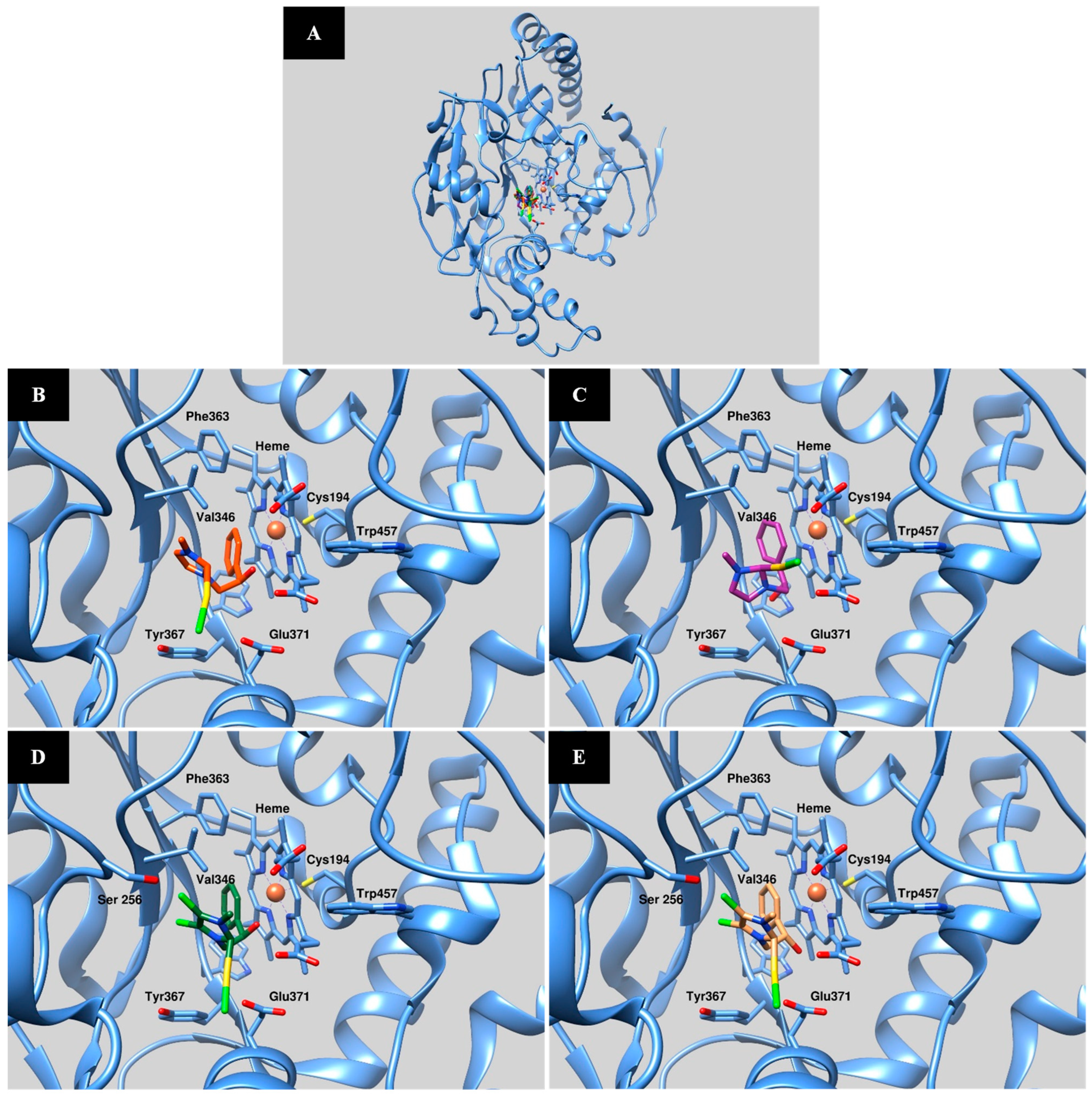 Molecules 29 05262 g004