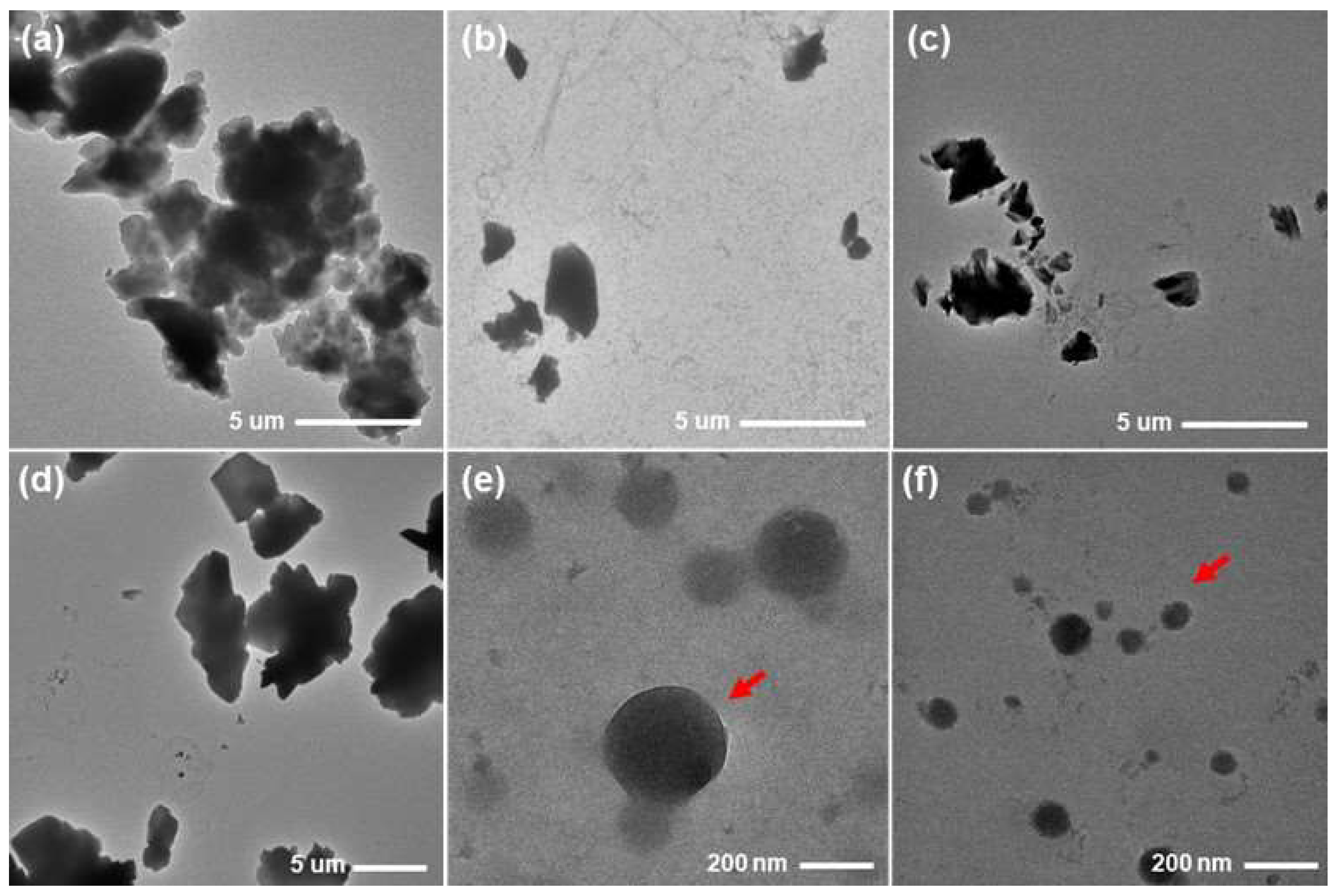 Molecules 29 05267 g009