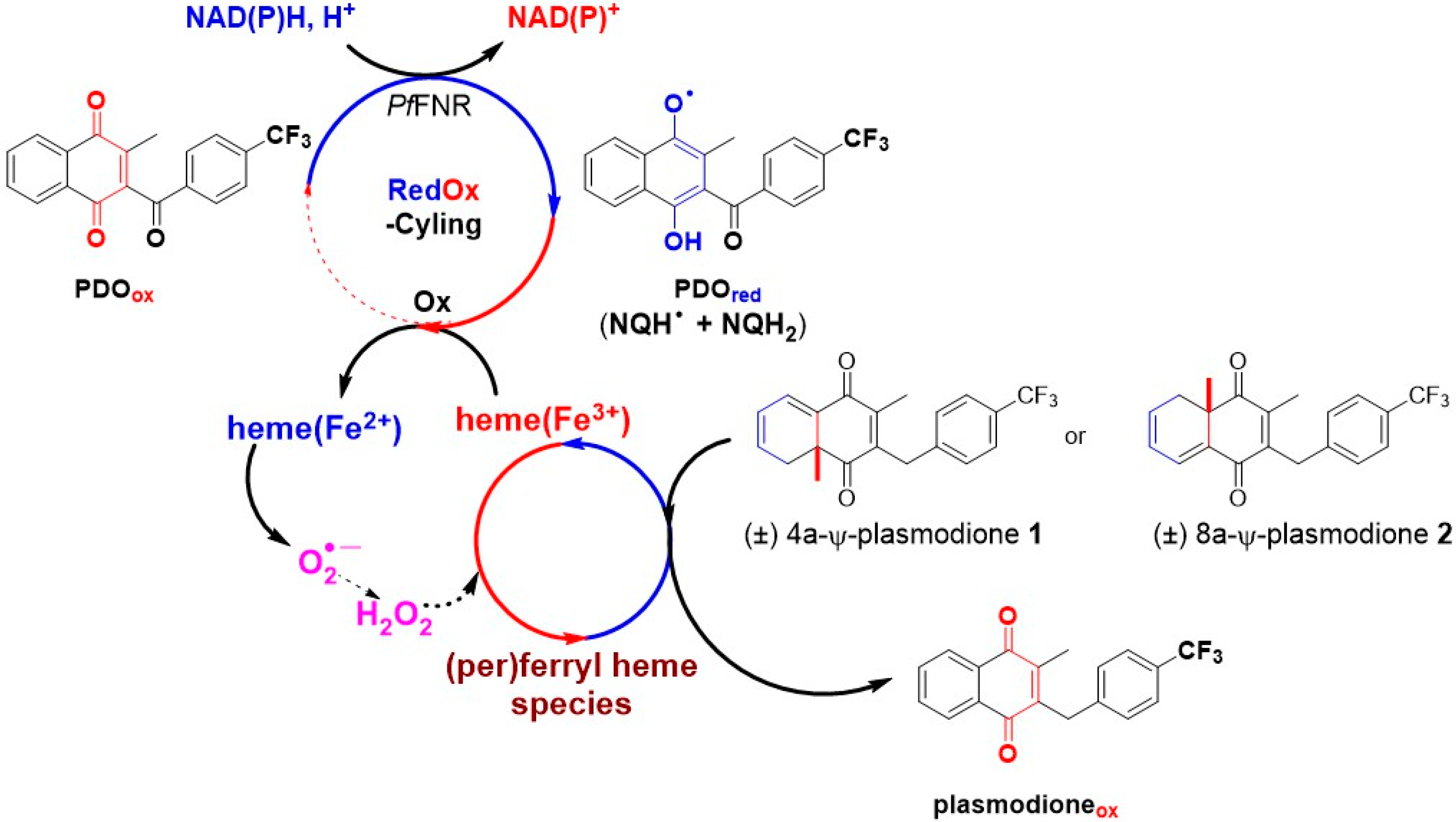 Molecules 29 05268 sch009