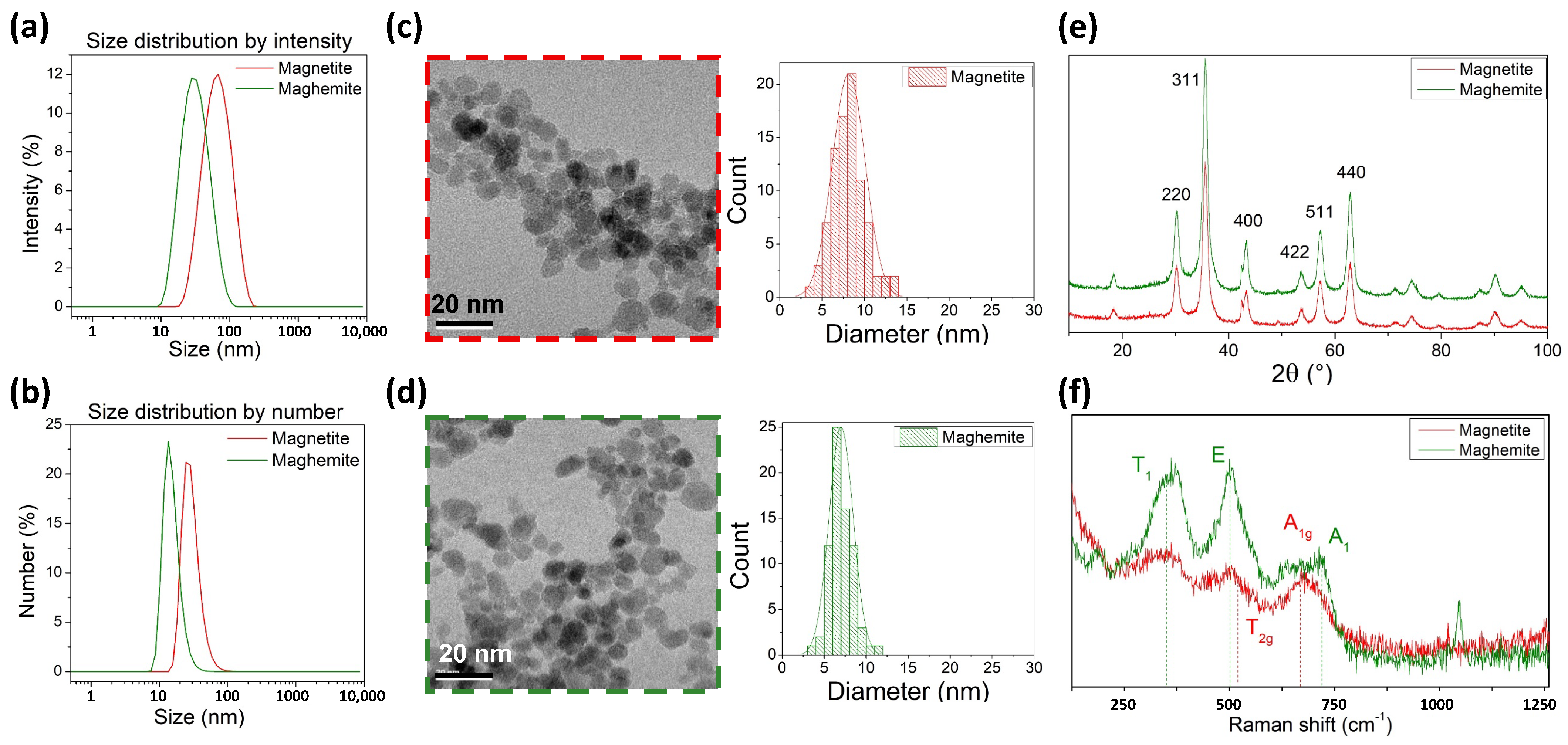 Molecules 29 05270 g001