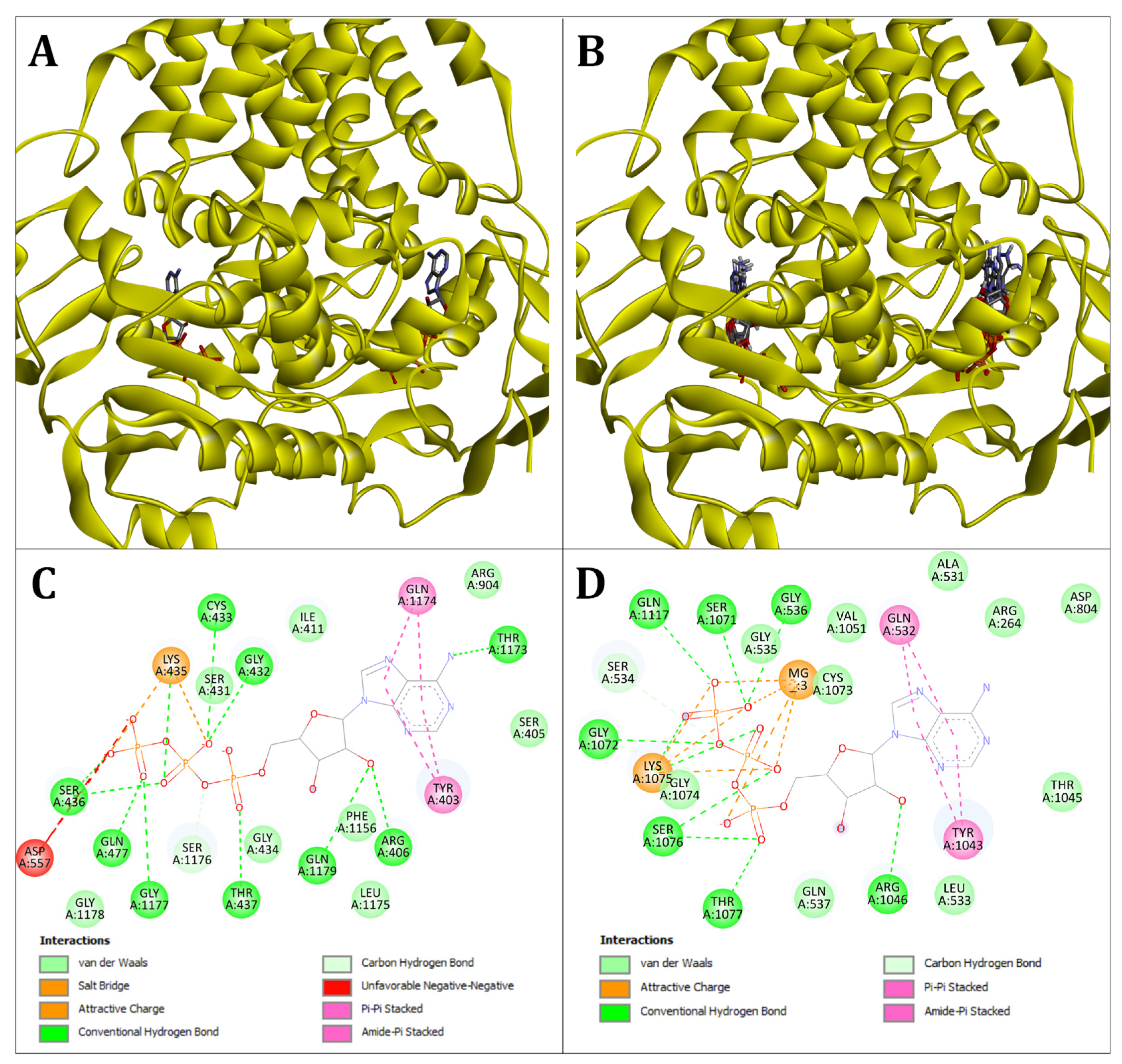 Molecules 29 05272 g001