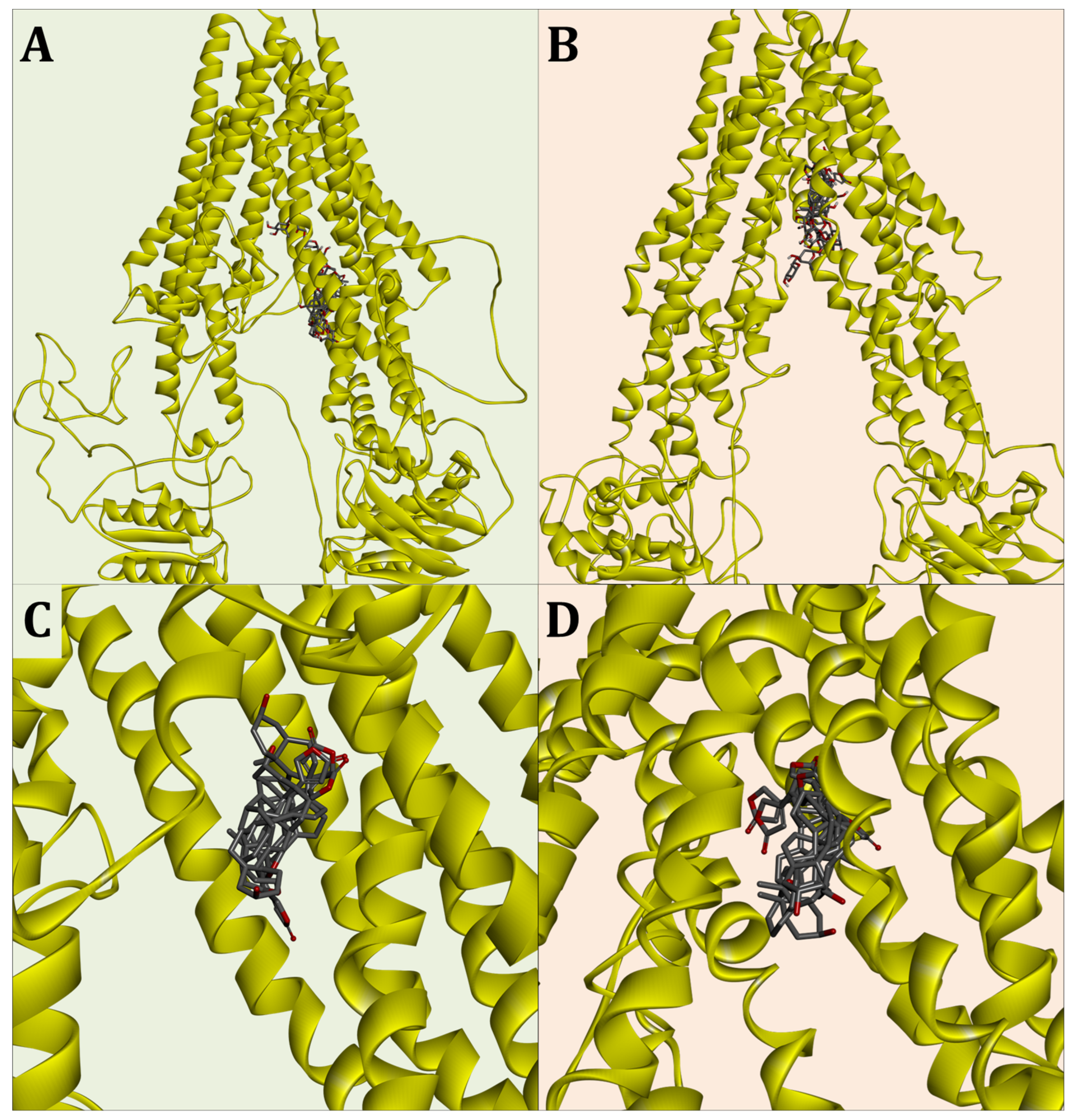 Molecules 29 05272 g007
