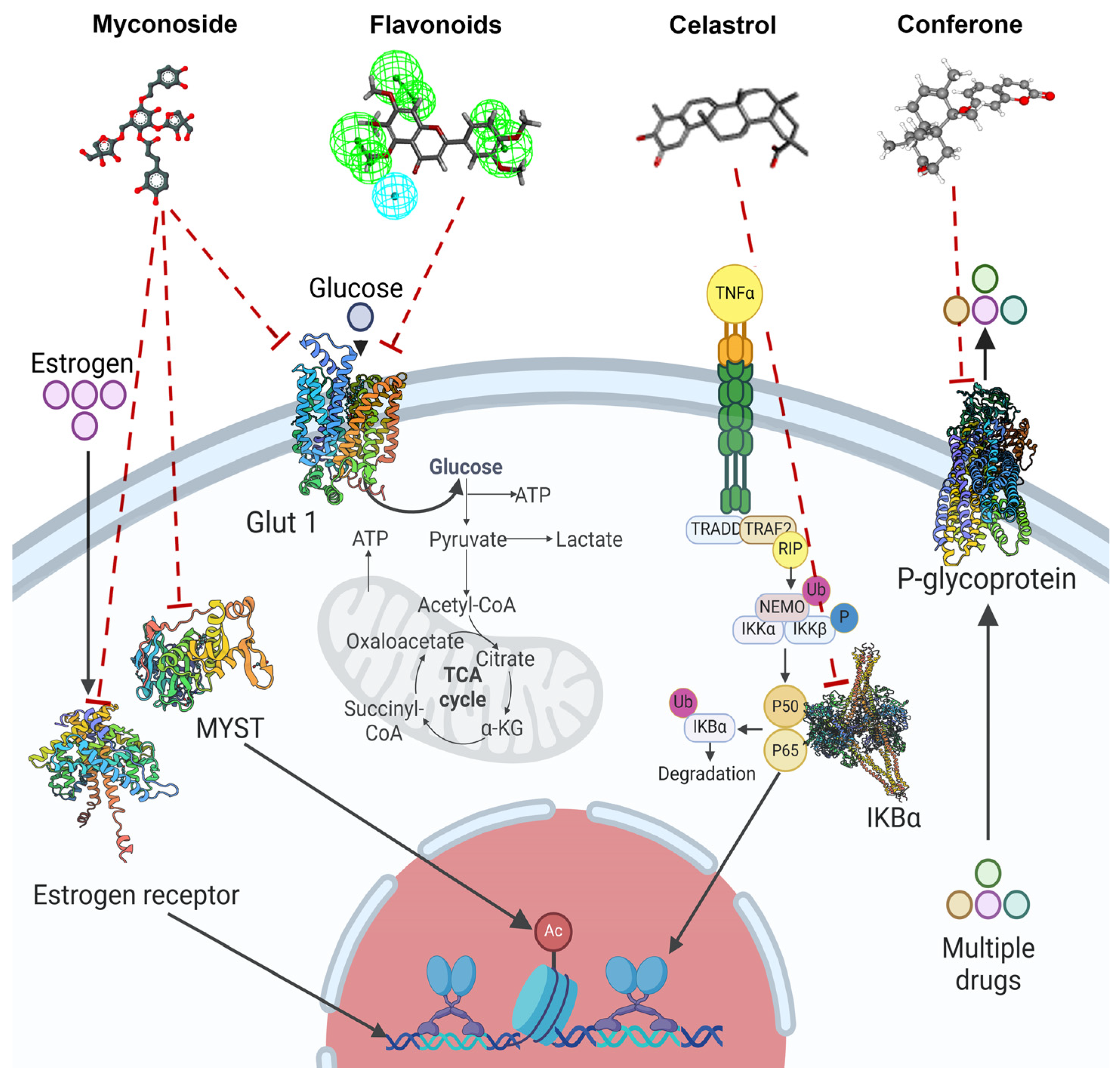 Molecules 29 05275 g002