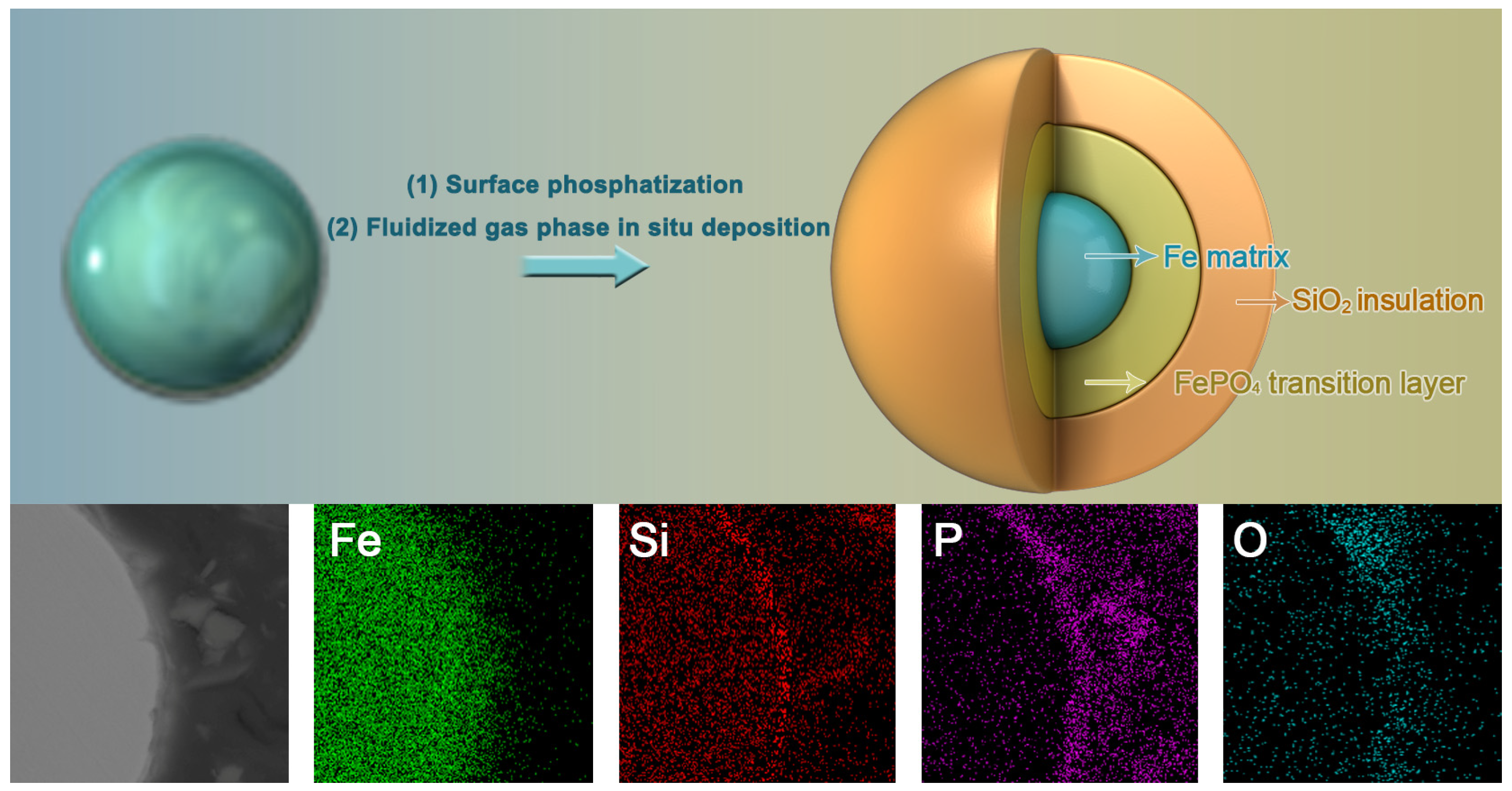 Molecules 29 05281 g007
