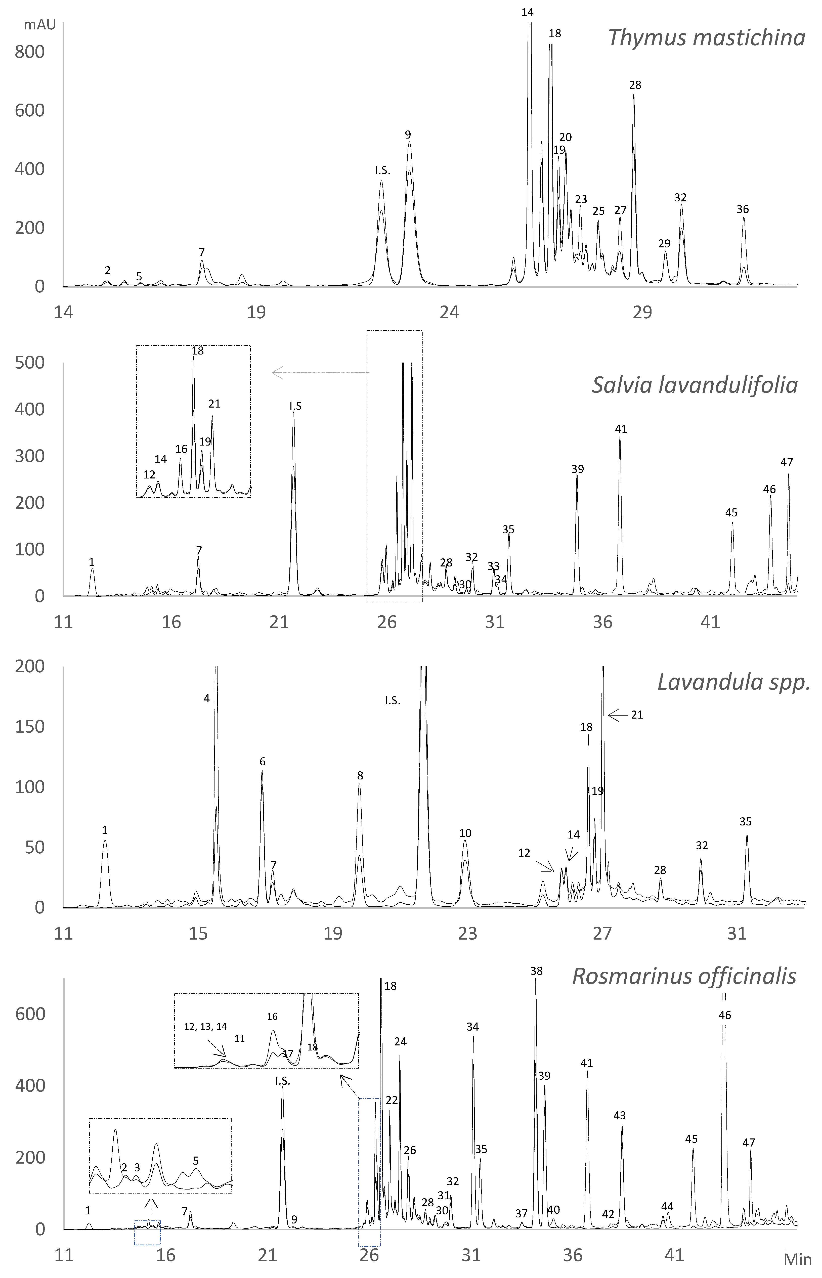 Molecules 29 05285 g001