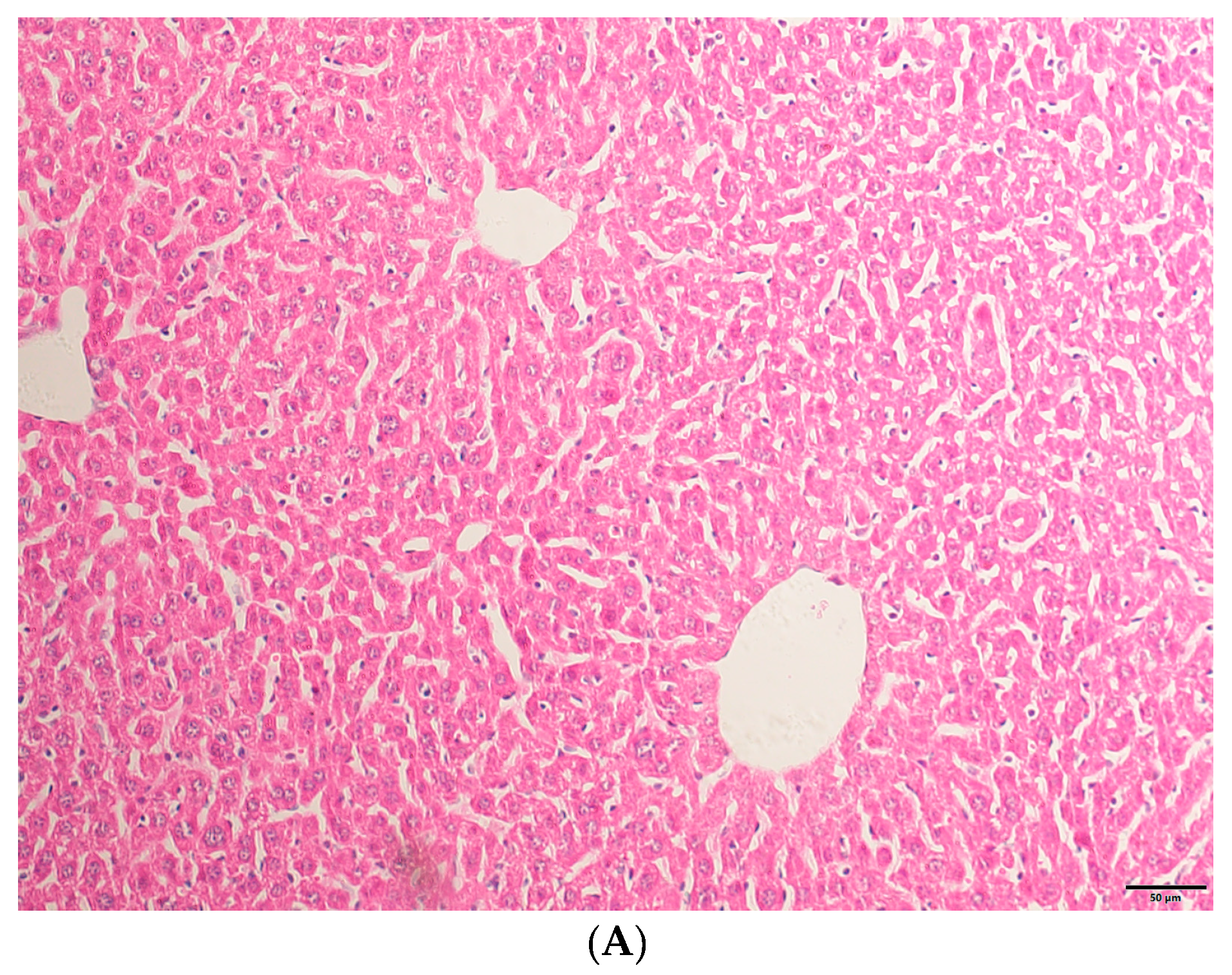 Molecules 29 05288 g001a