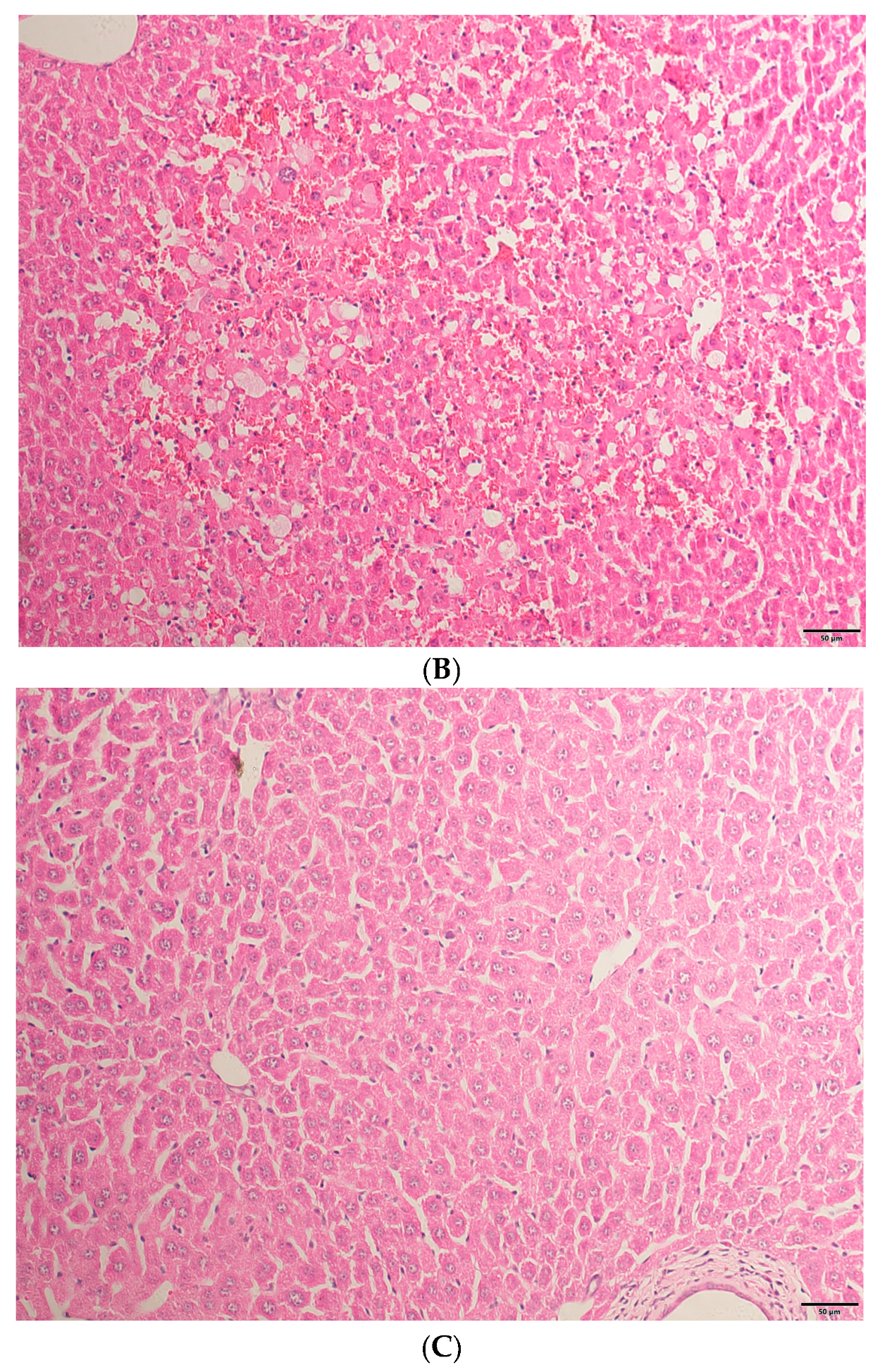 Molecules 29 05288 g001b