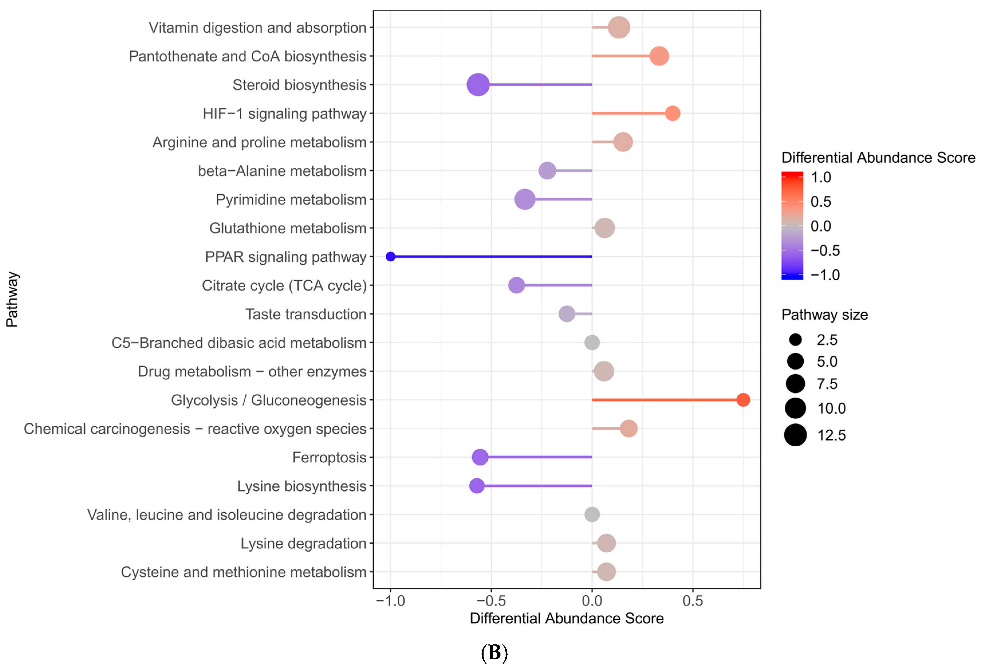 Molecules 29 05288 g007b