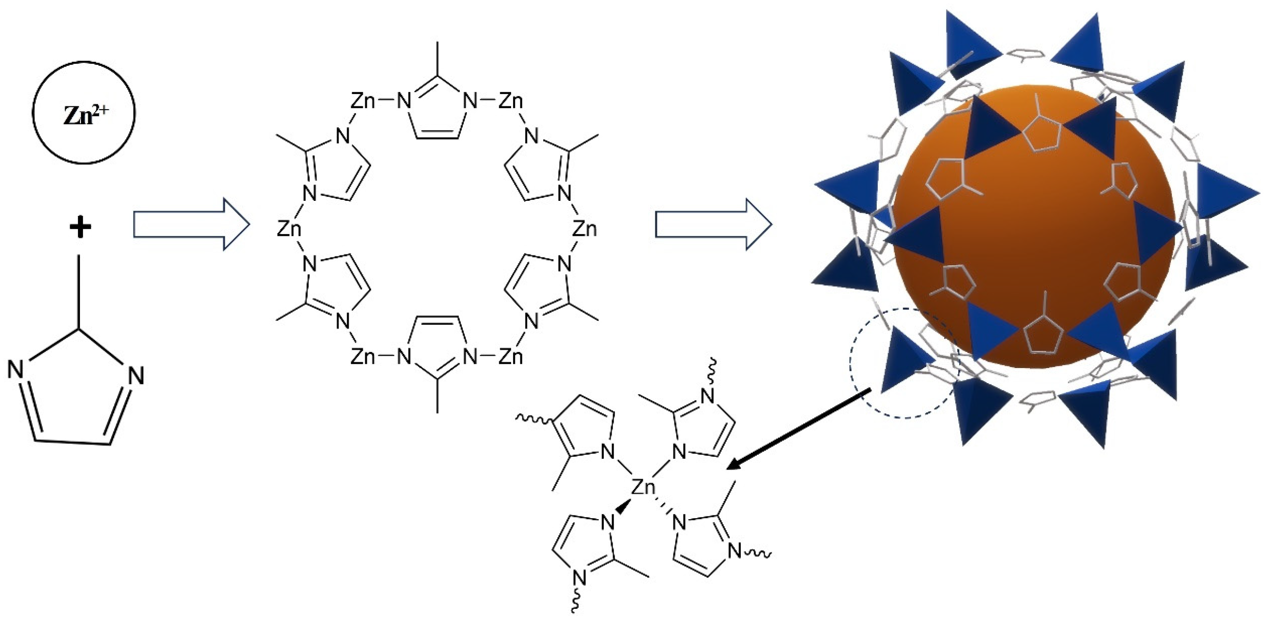 Molecules 29 05291 g001