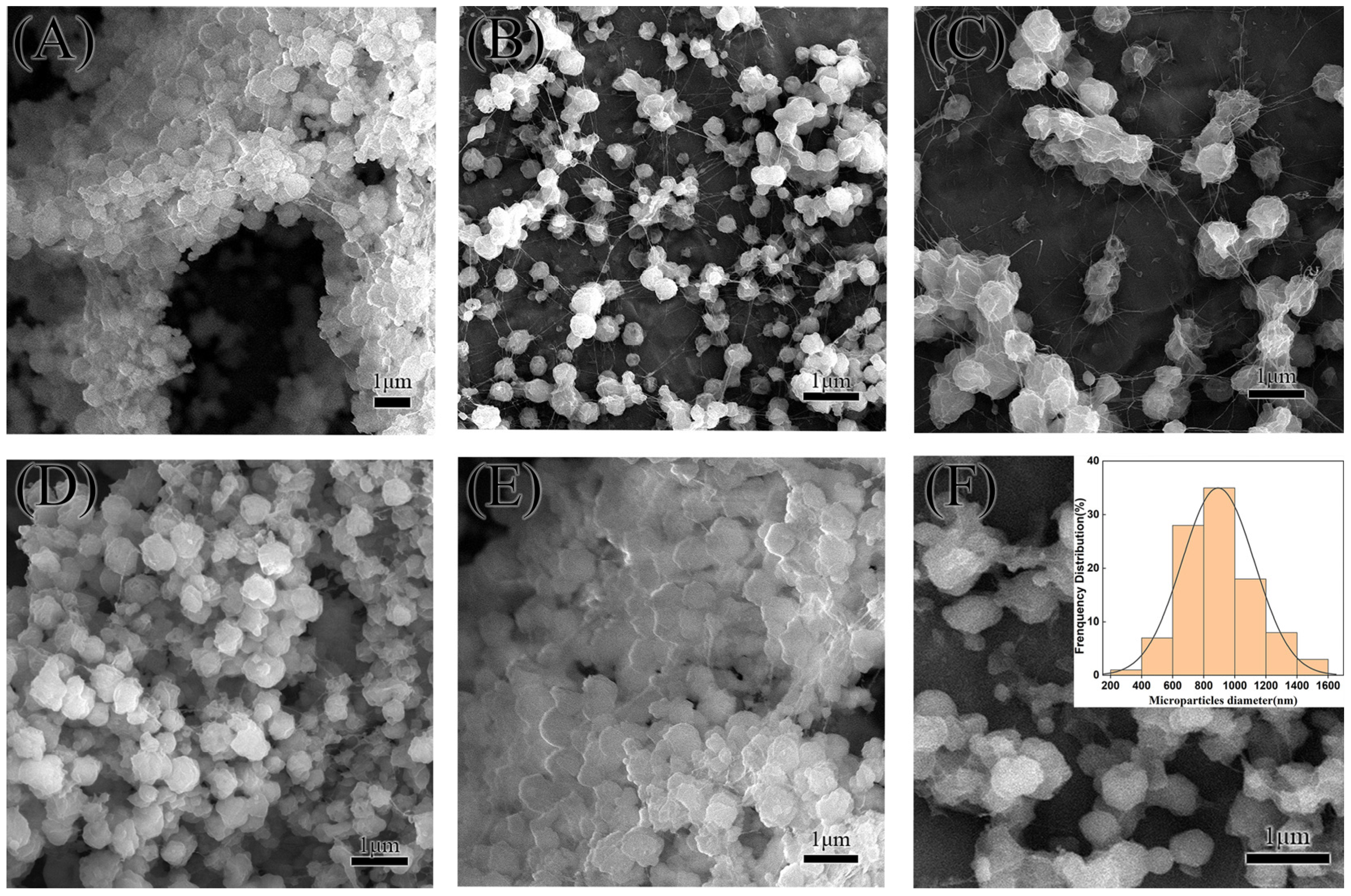 Molecules 29 05291 g006