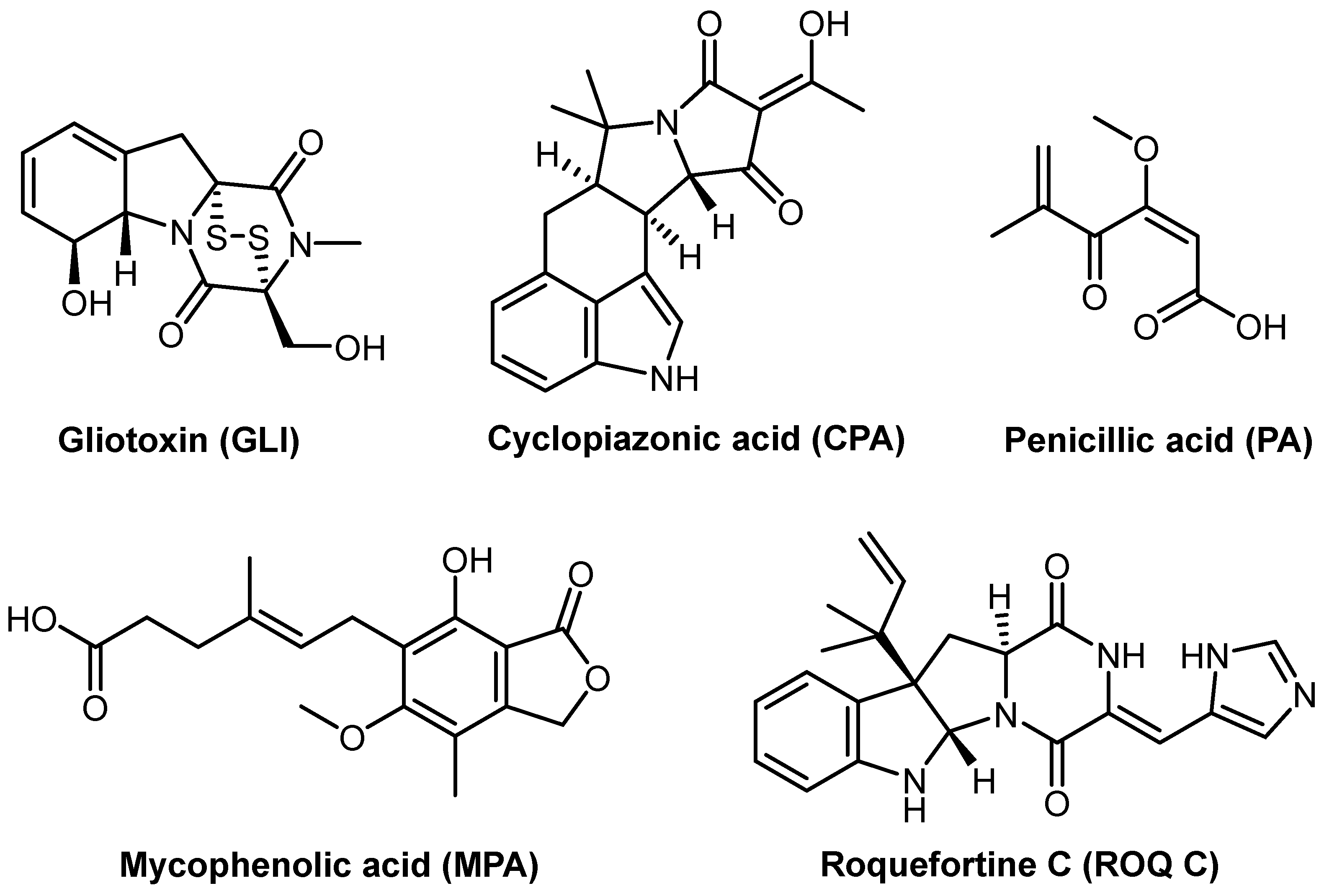Molecules 29 05292 g001