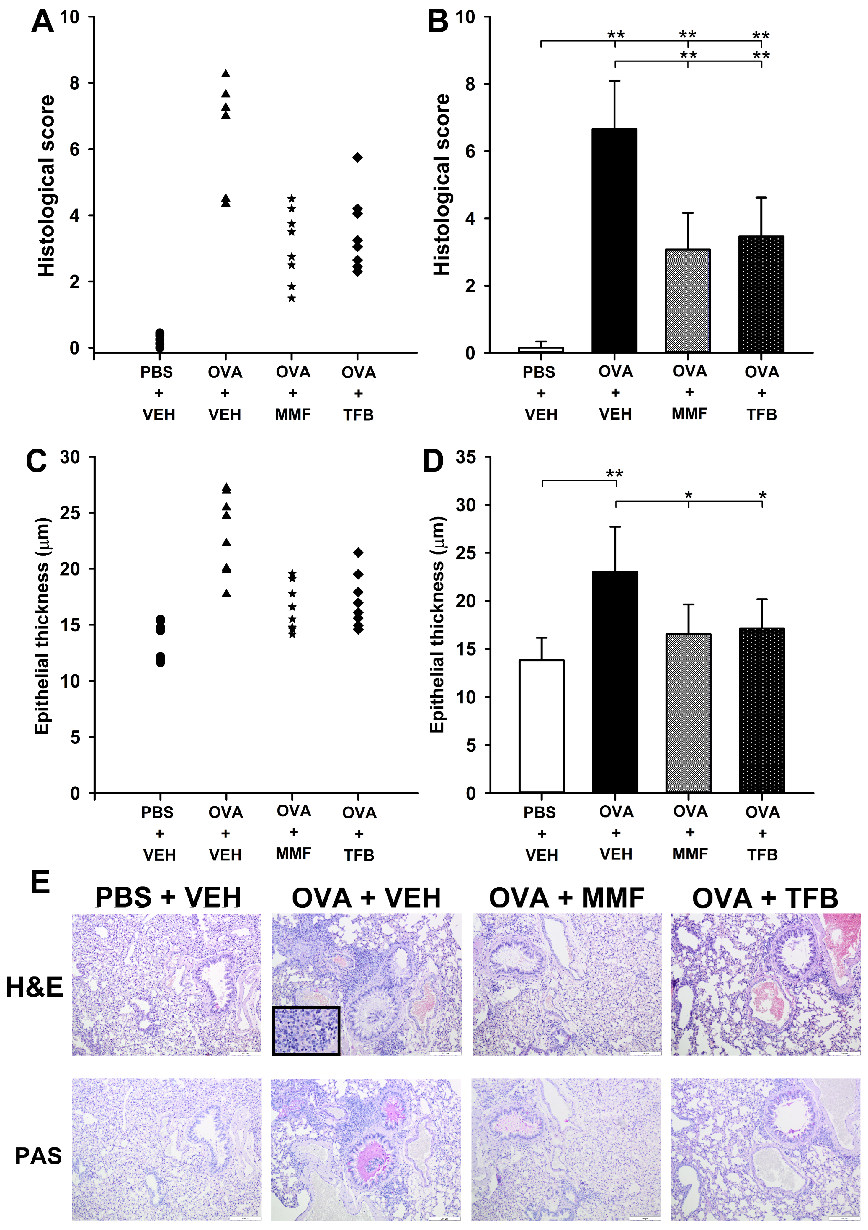 Molecules 29 05293 g002
