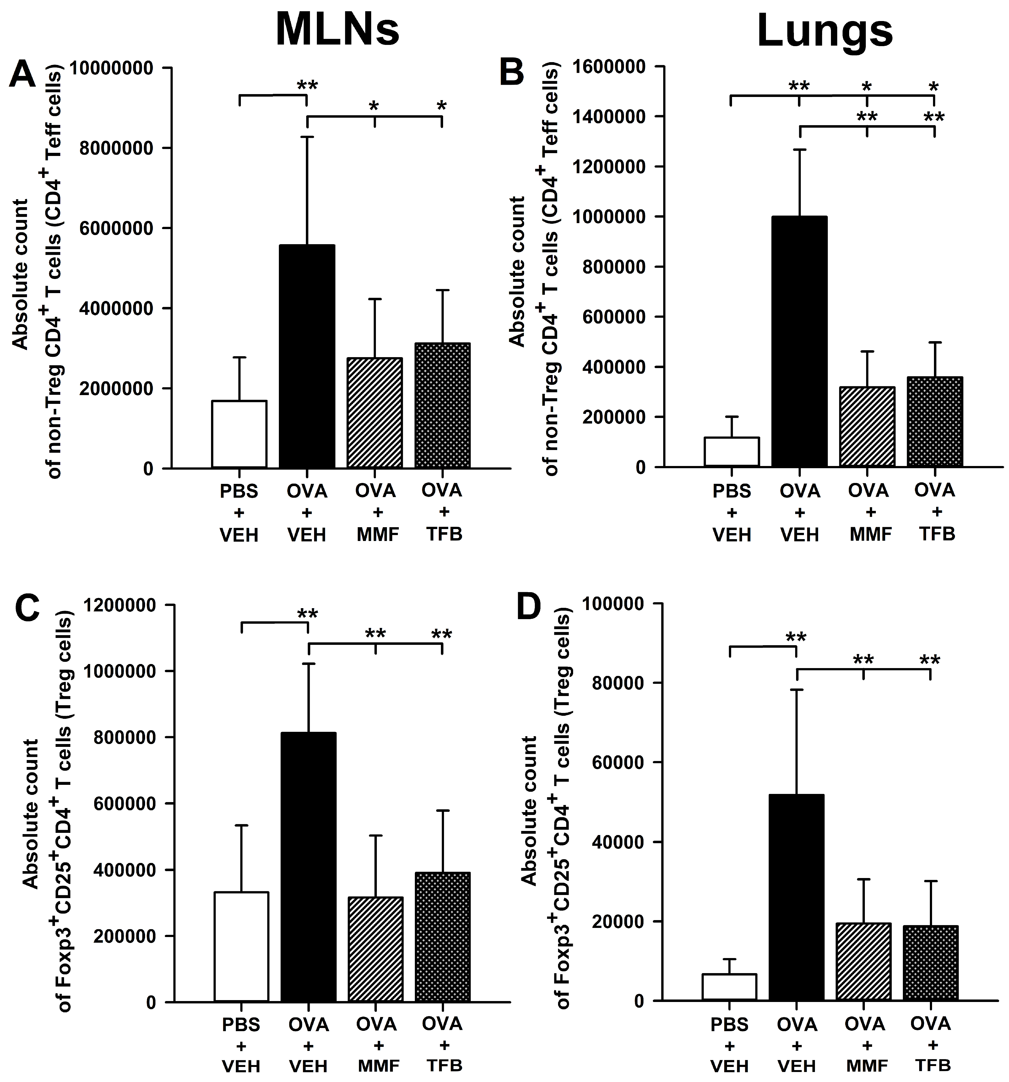 Molecules 29 05293 g004