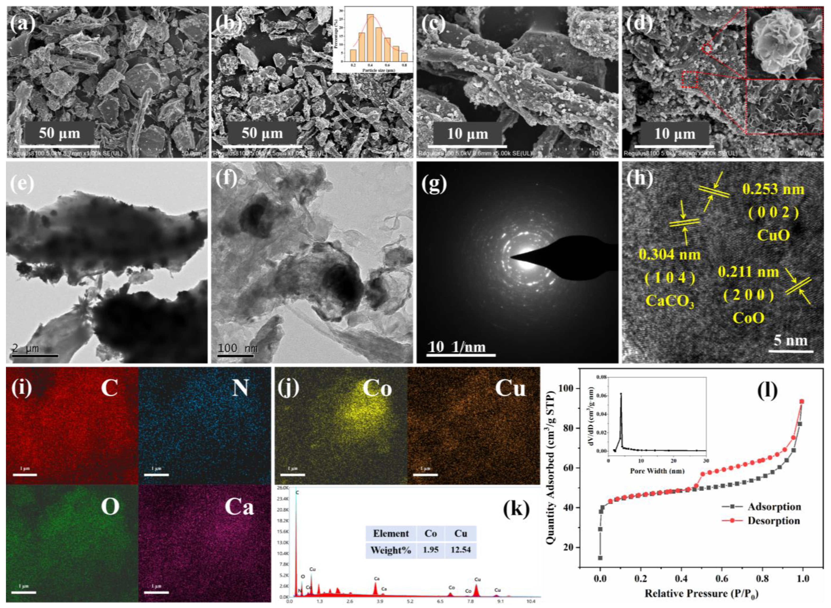 Molecules 29 05296 g002