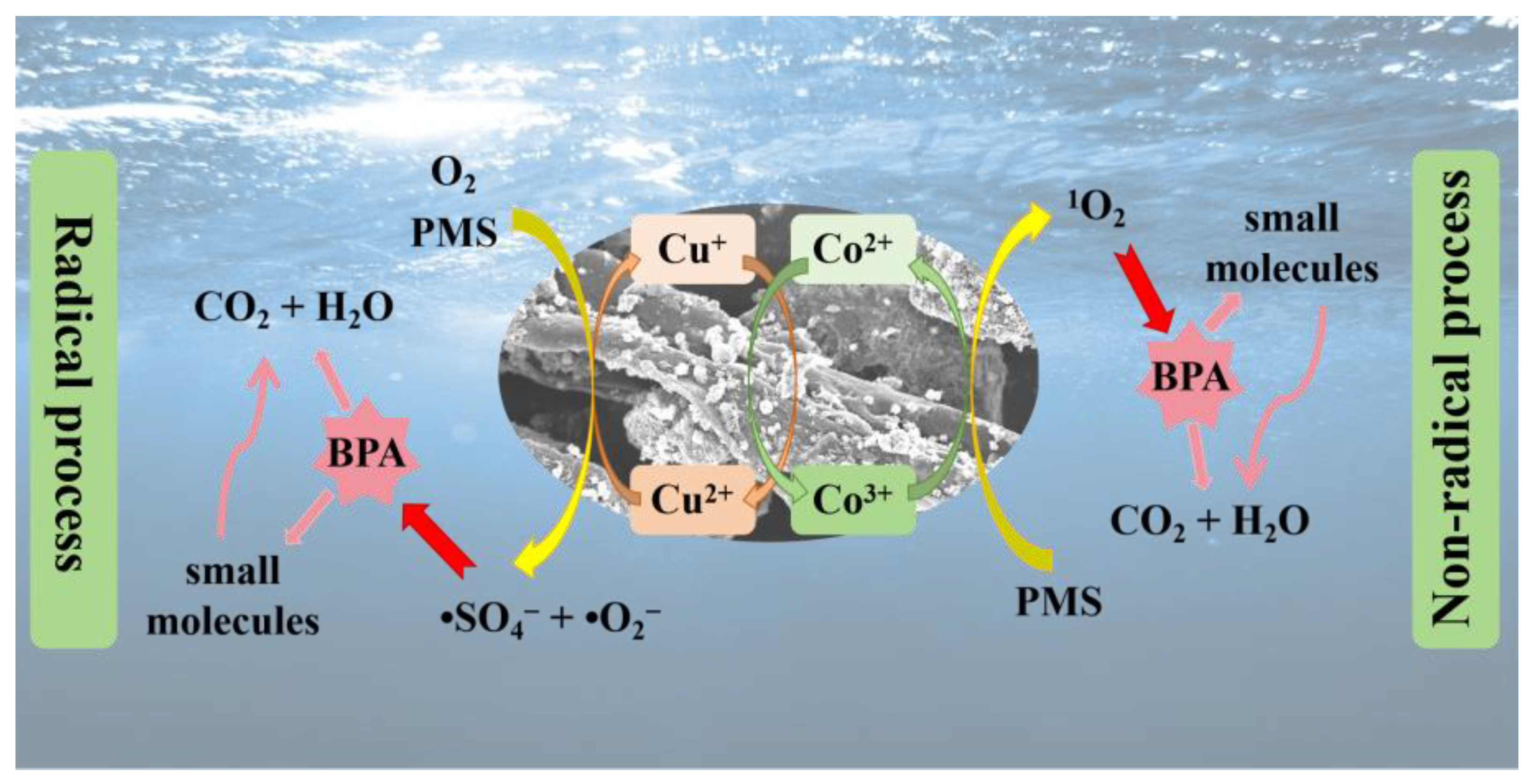 Molecules 29 05296 g008