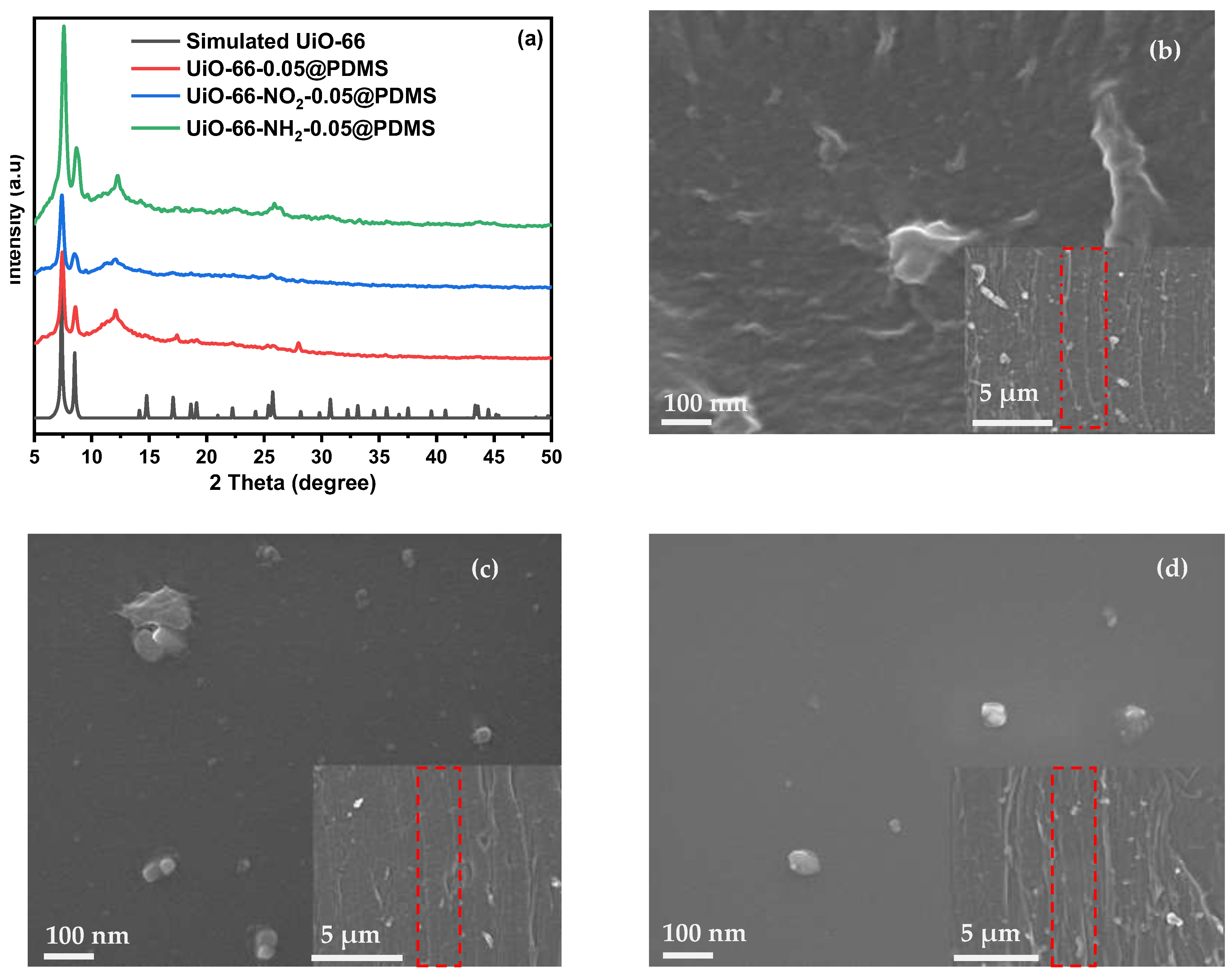 Molecules 29 05297 g001