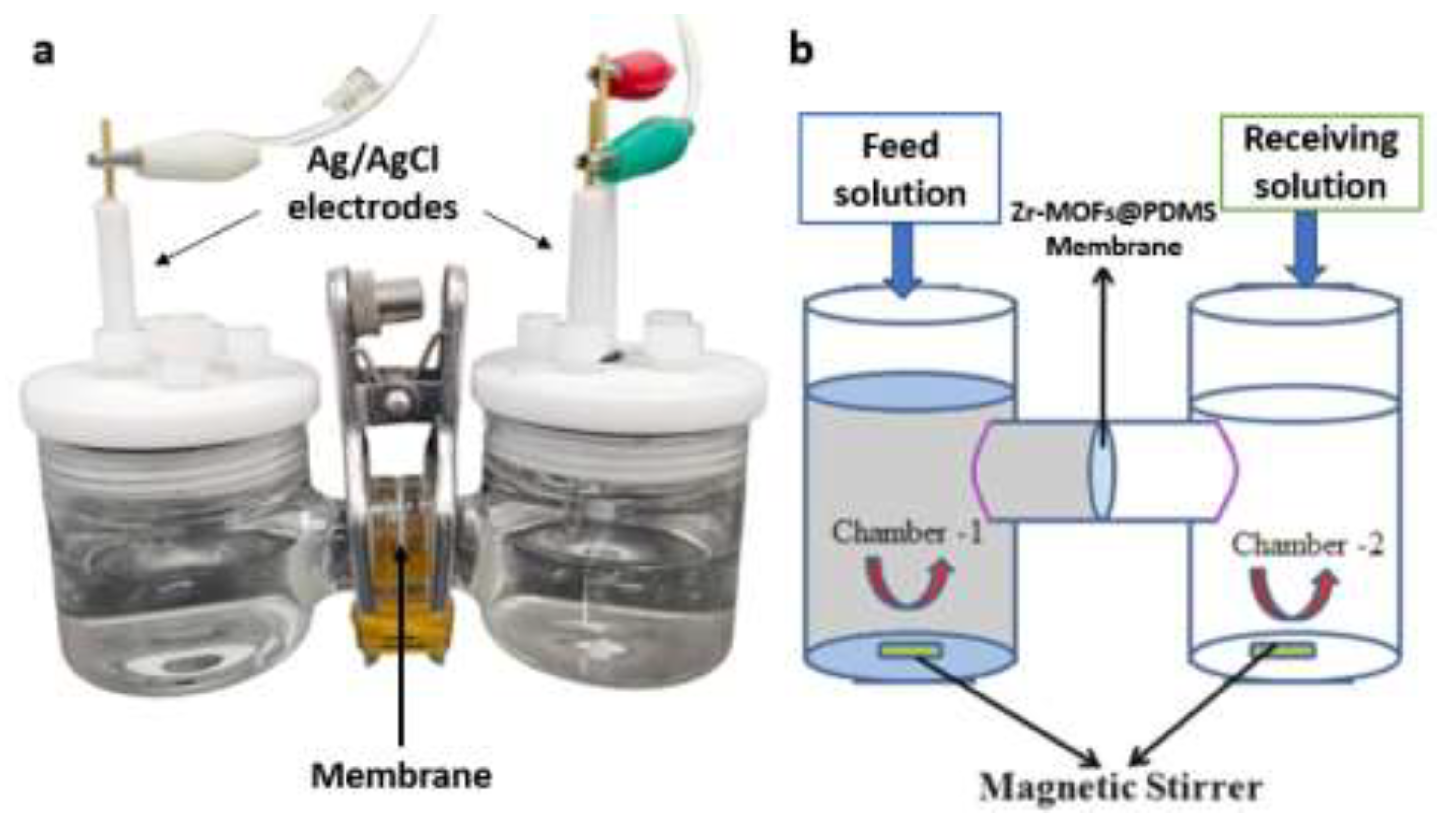 Molecules 29 05297 g009