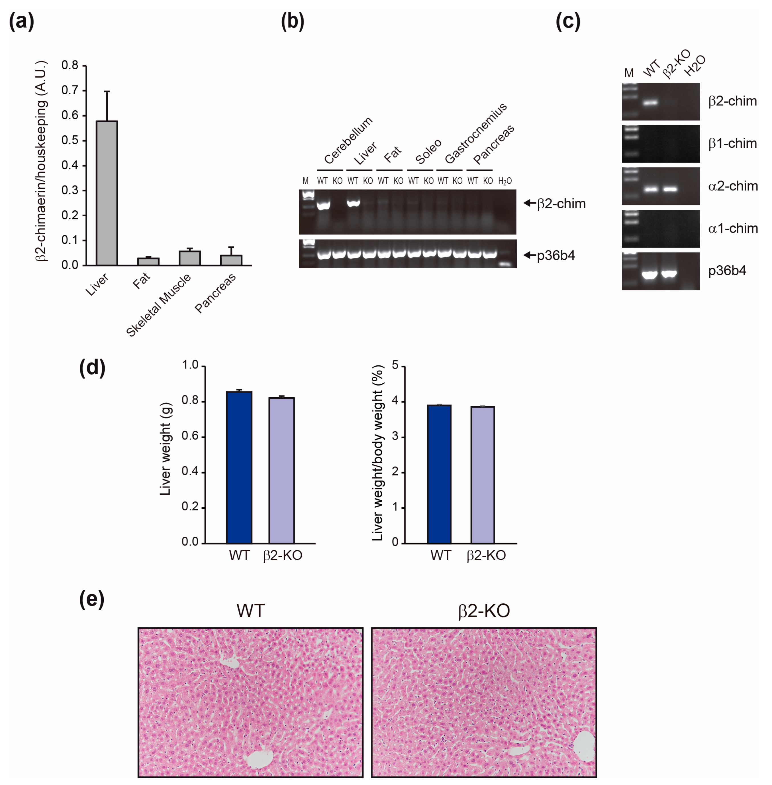 Molecules 29 05301 g003 Molecules 29 05301 g003