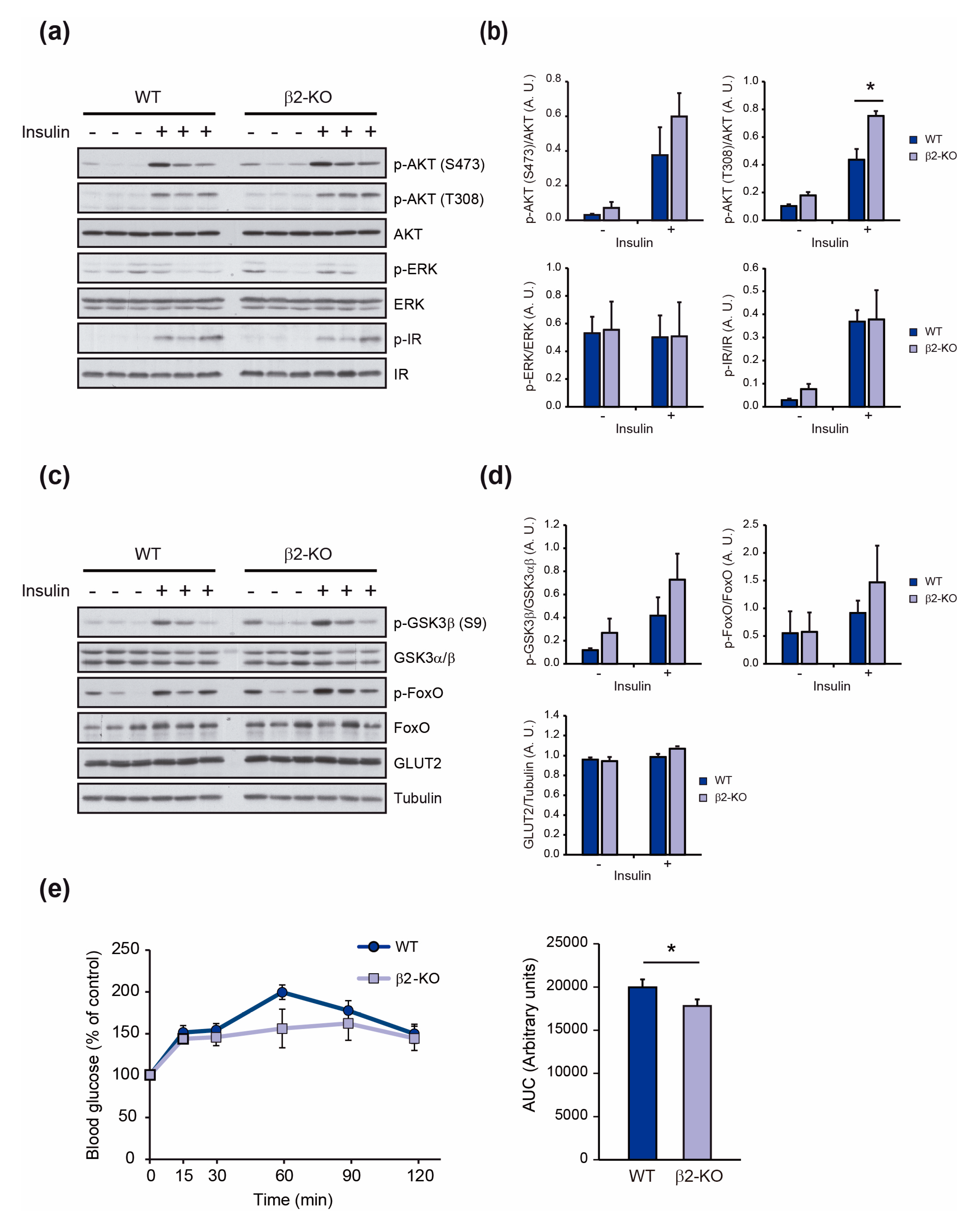 Molecules 29 05301 g004 Molecules 29 05301 g004