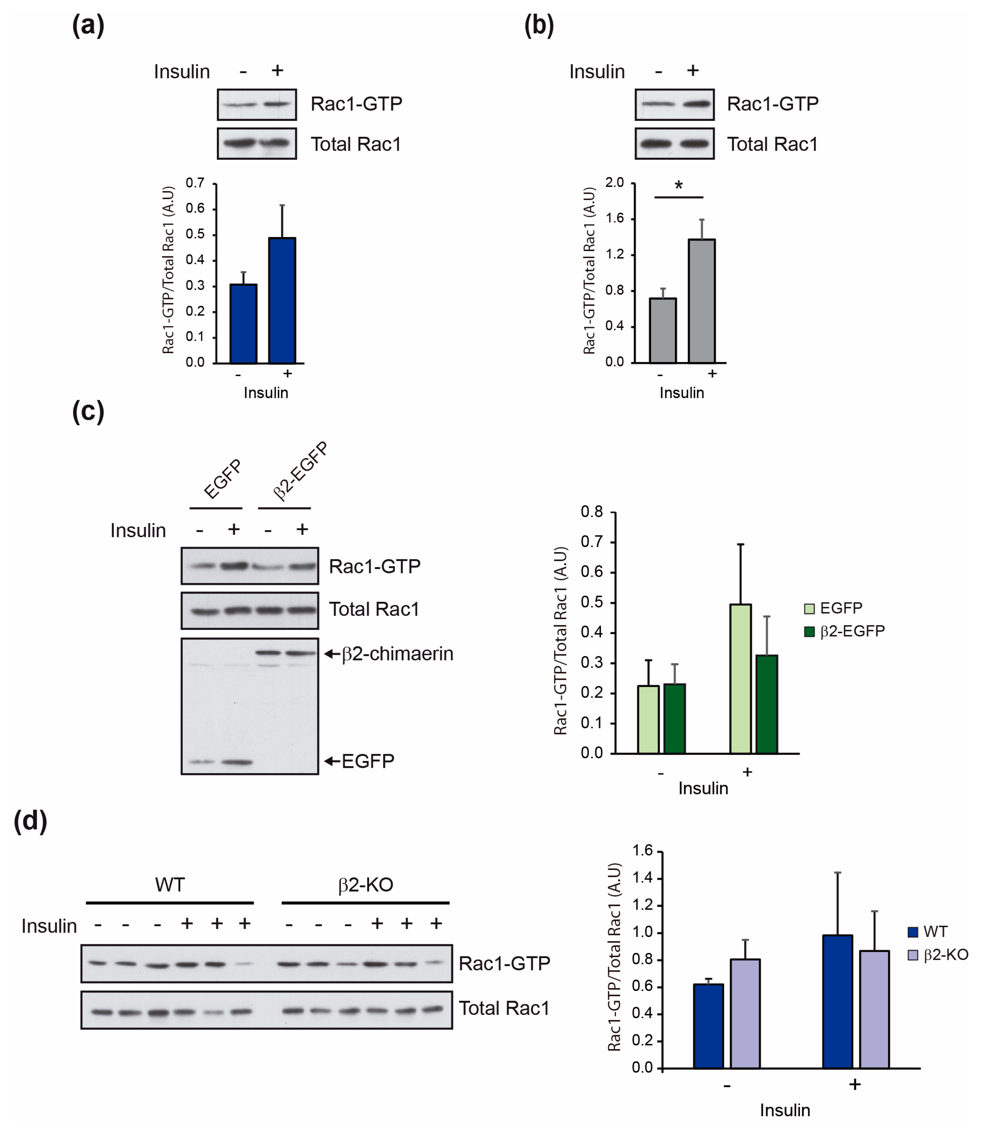 Molecules 29 05301 g005 Molecules 29 05301 g005
