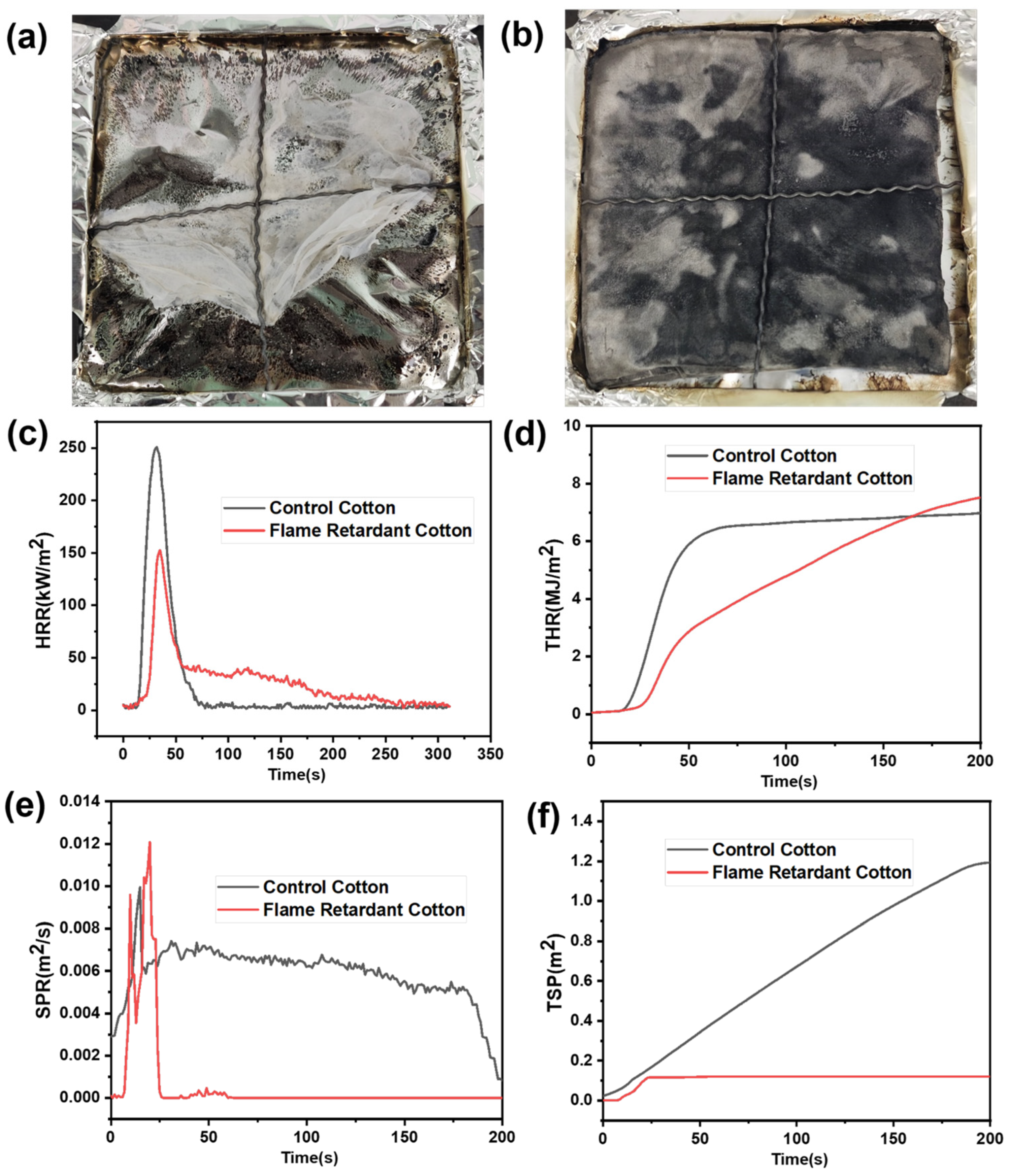 Molecules 29 05306 g006