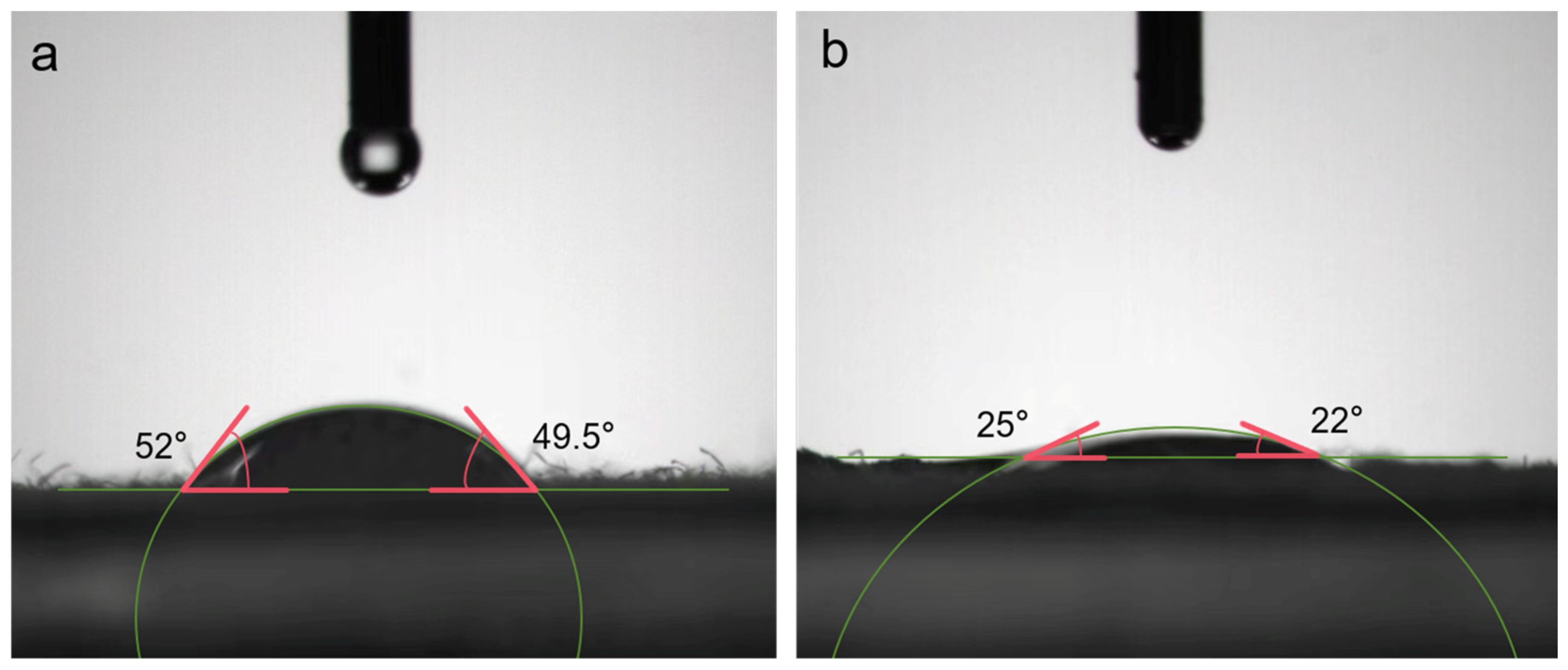 Molecules 29 05306 g011