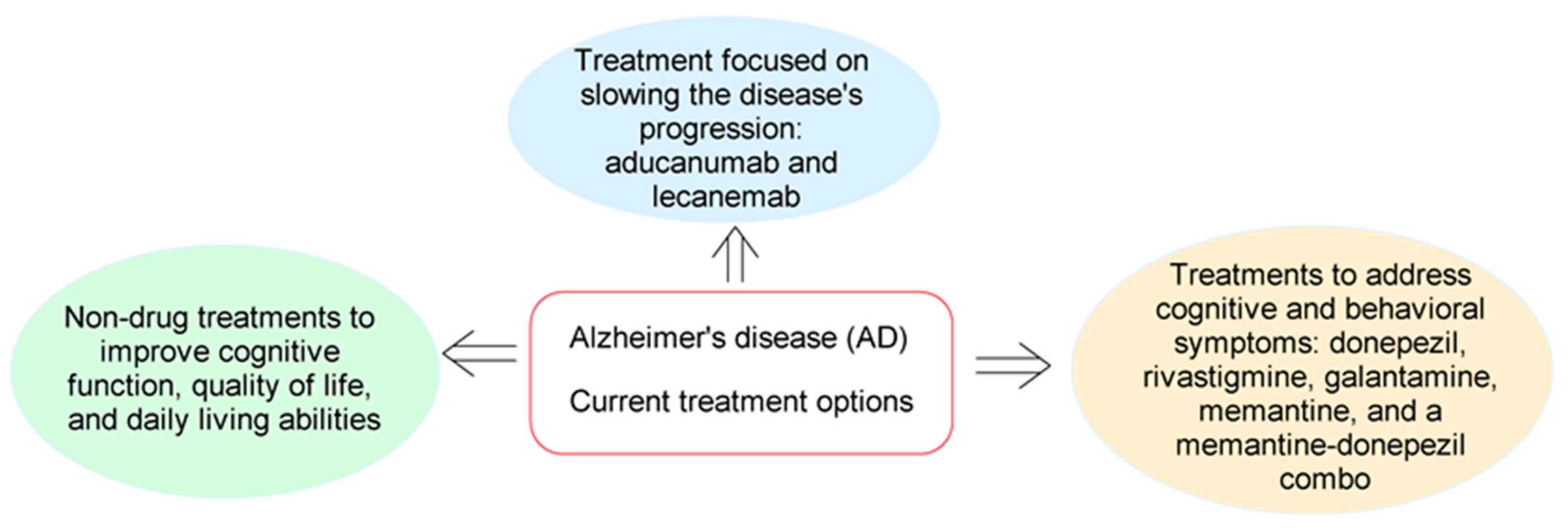 Molecules 29 05314 g001