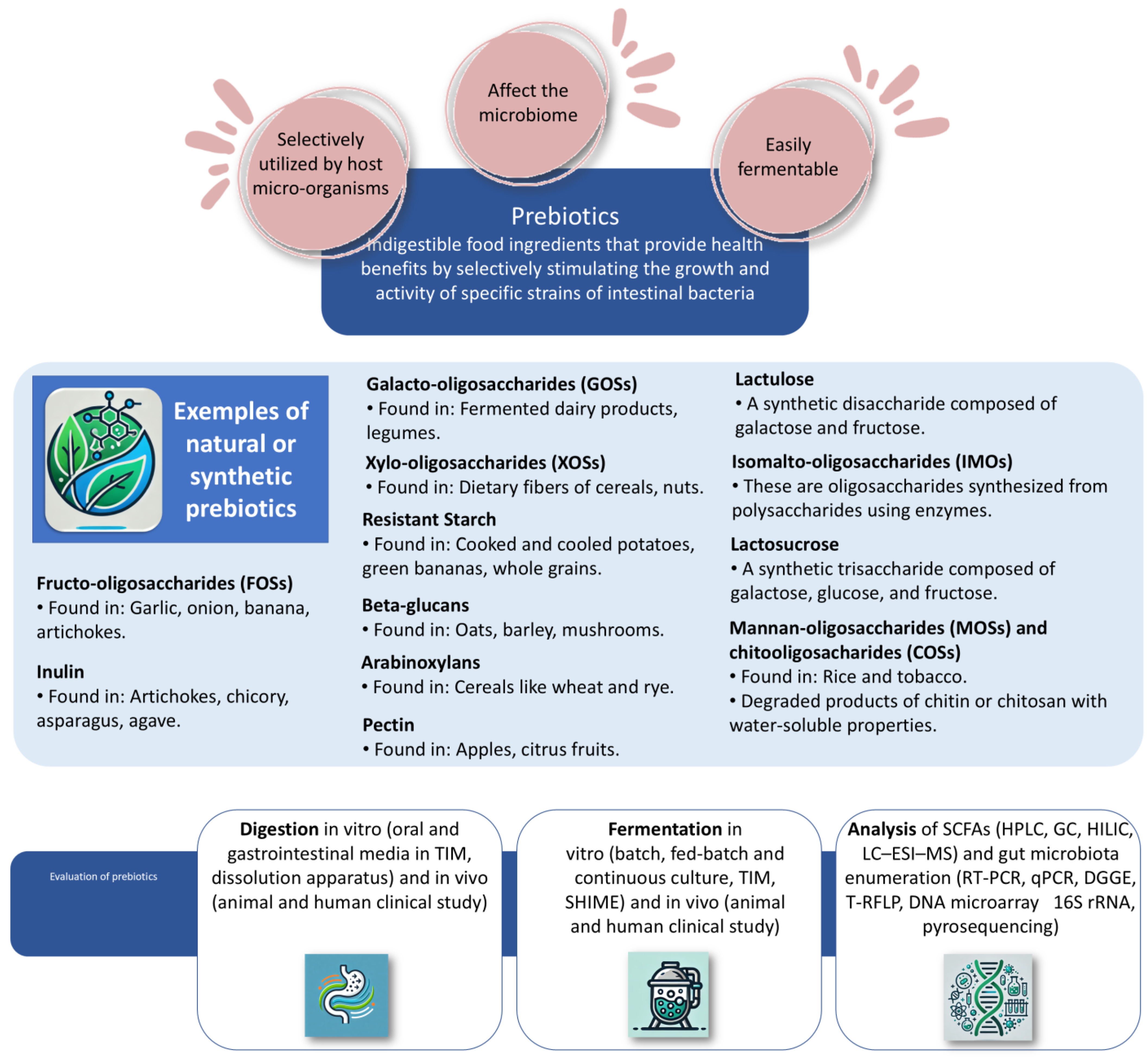 Molecules 29 05316 g001