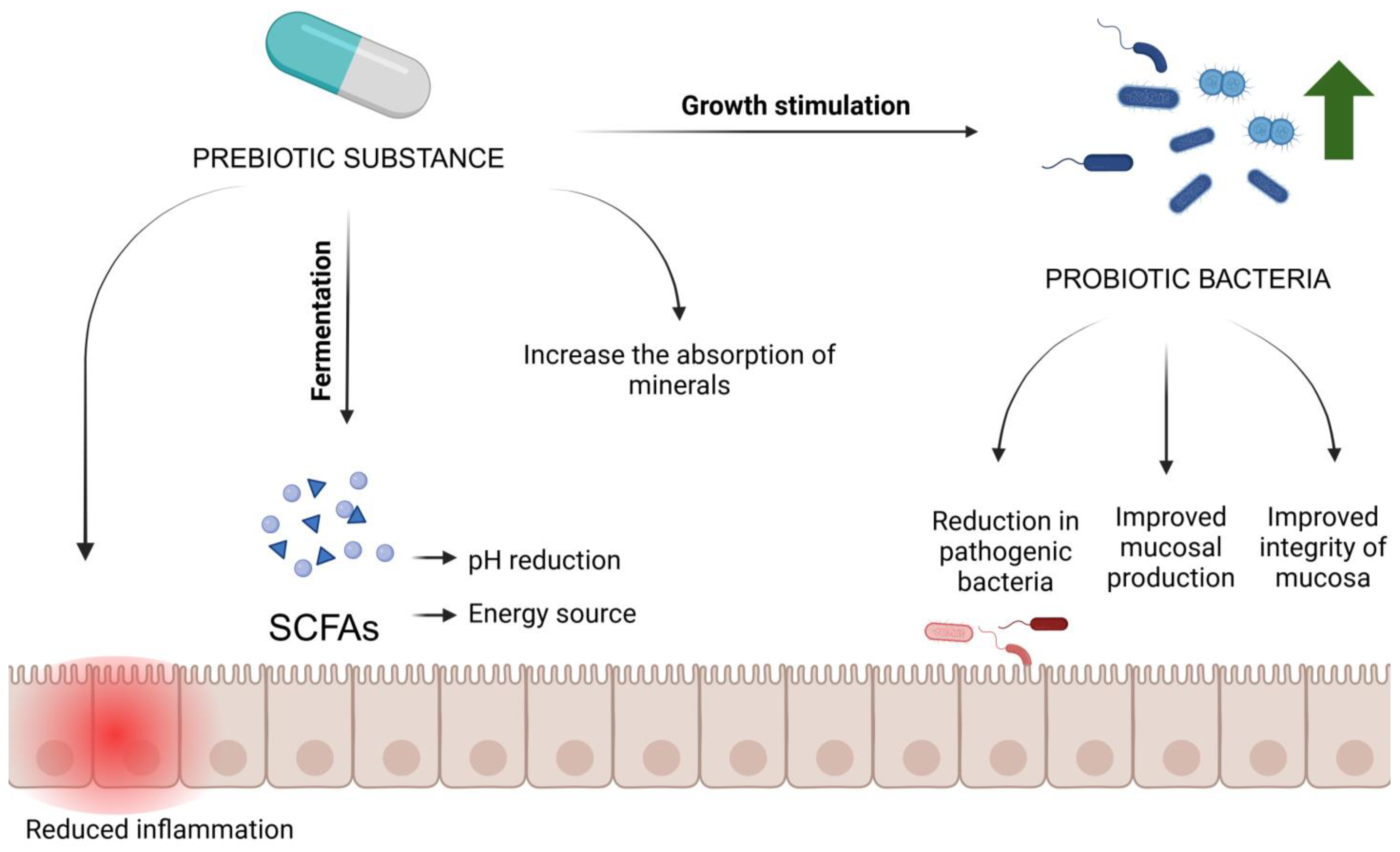 Molecules 29 05316 g002