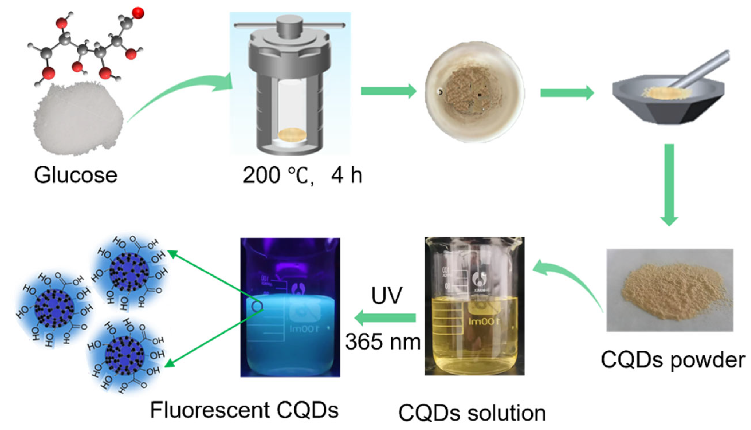 Molecules 29 05317 sch001