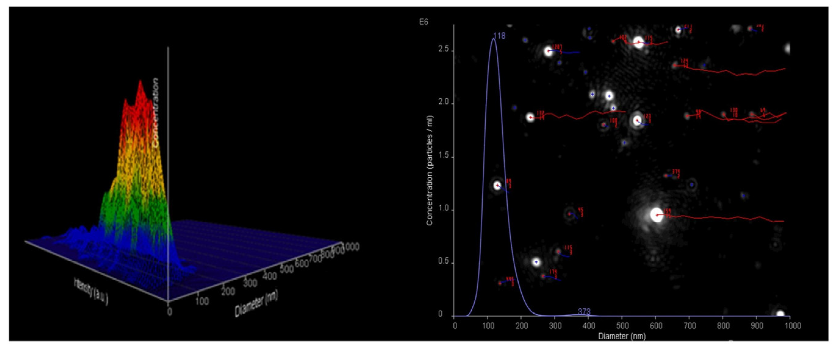 Molecules 29 05318 g003