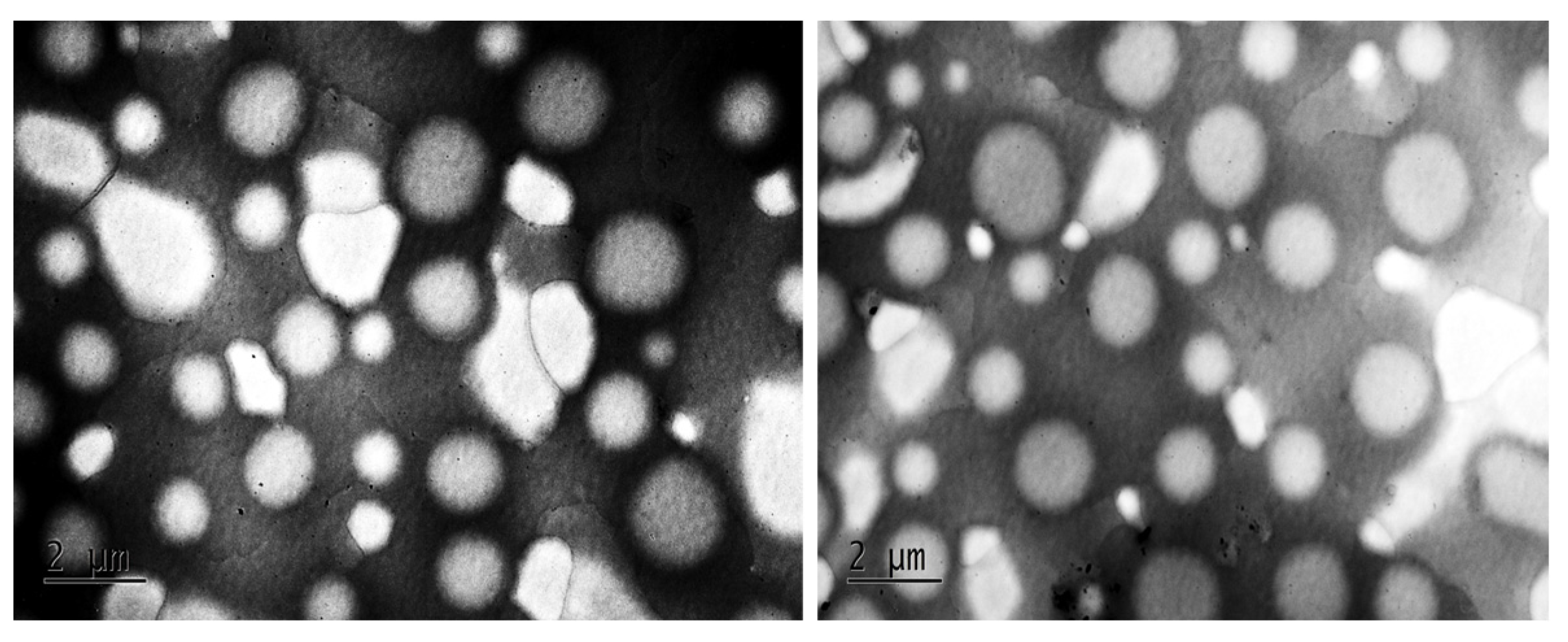 Molecules 29 05318 g004