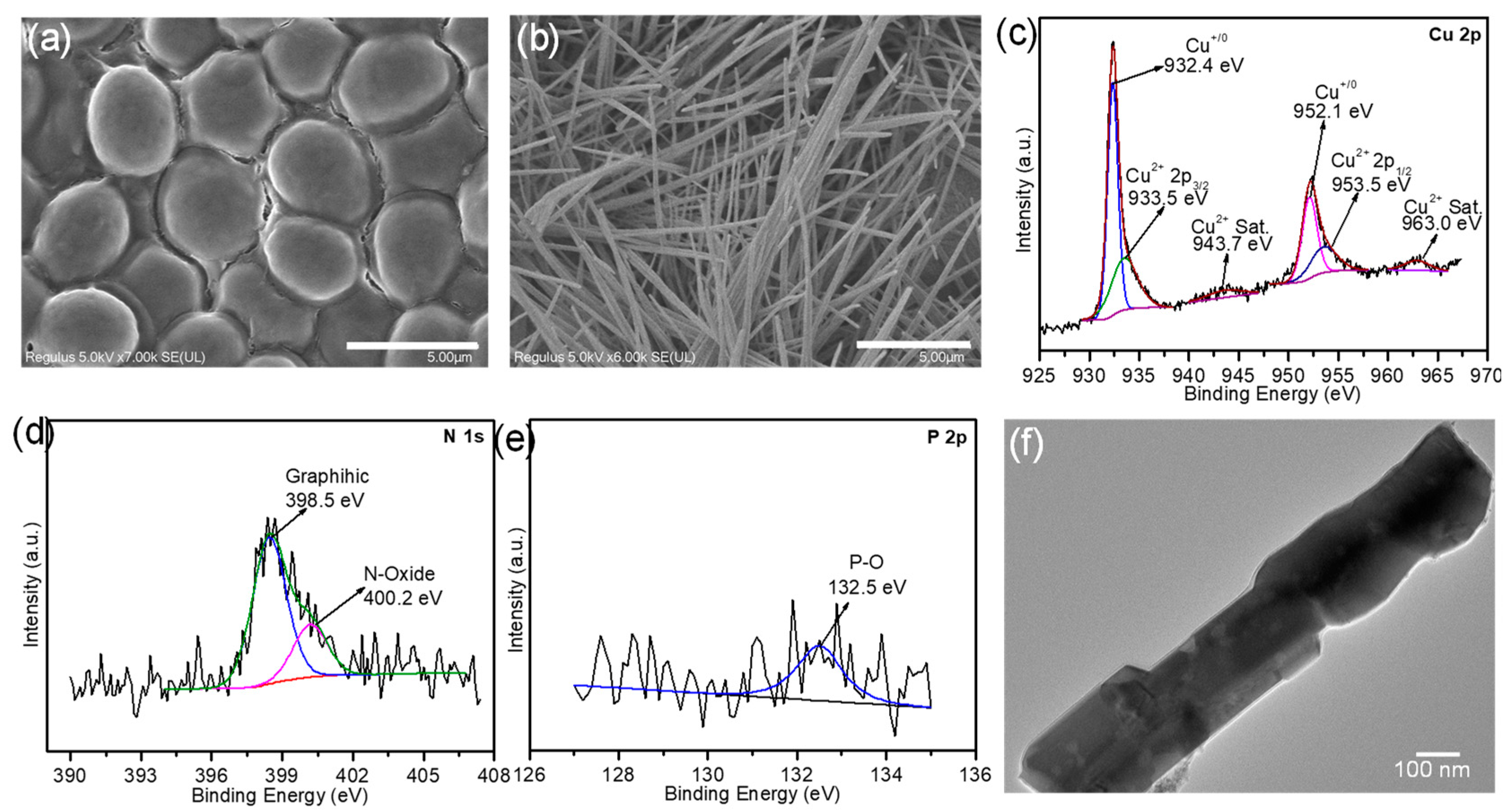 Molecules 29 05323 g002