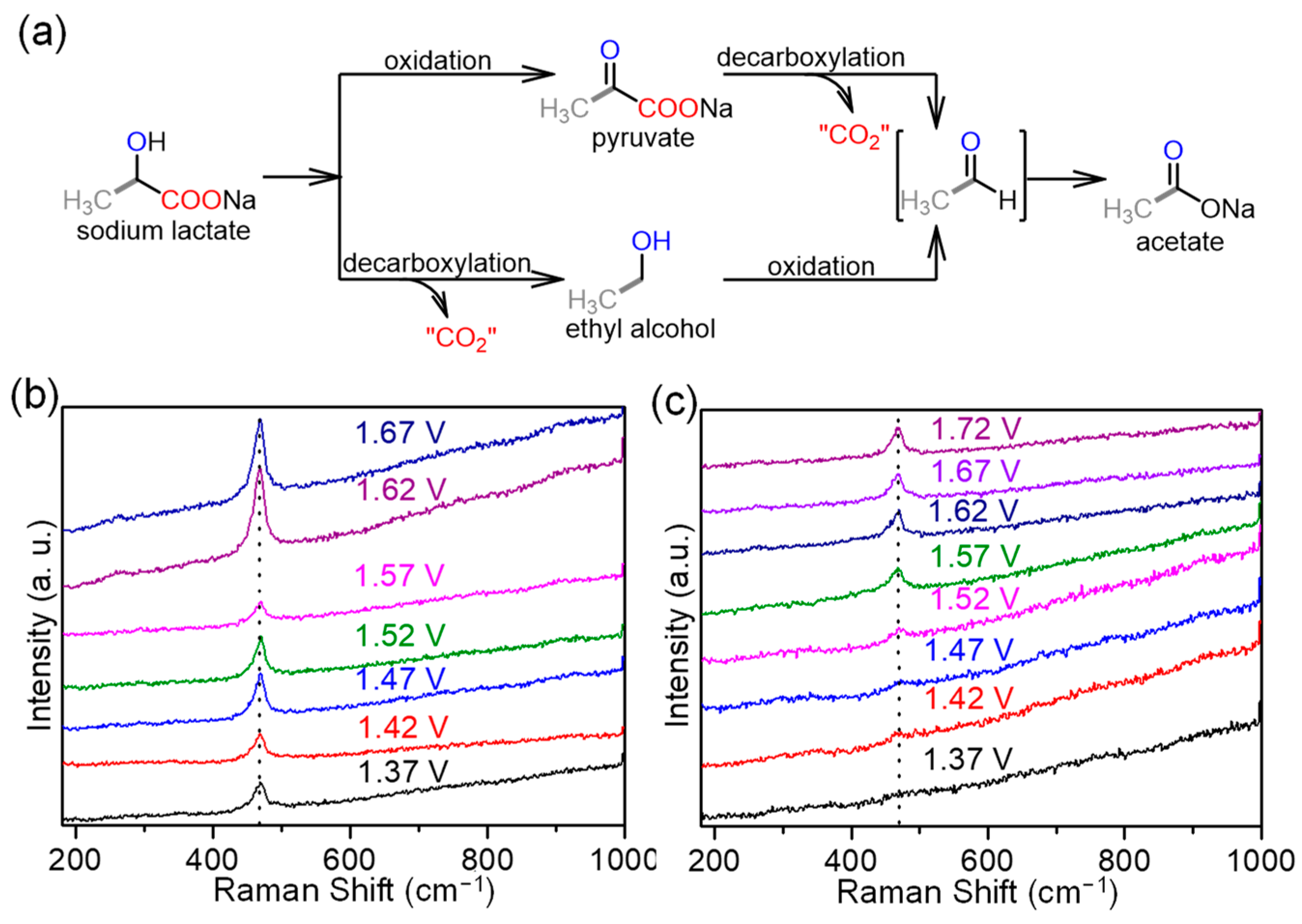 Molecules 29 05323 g005