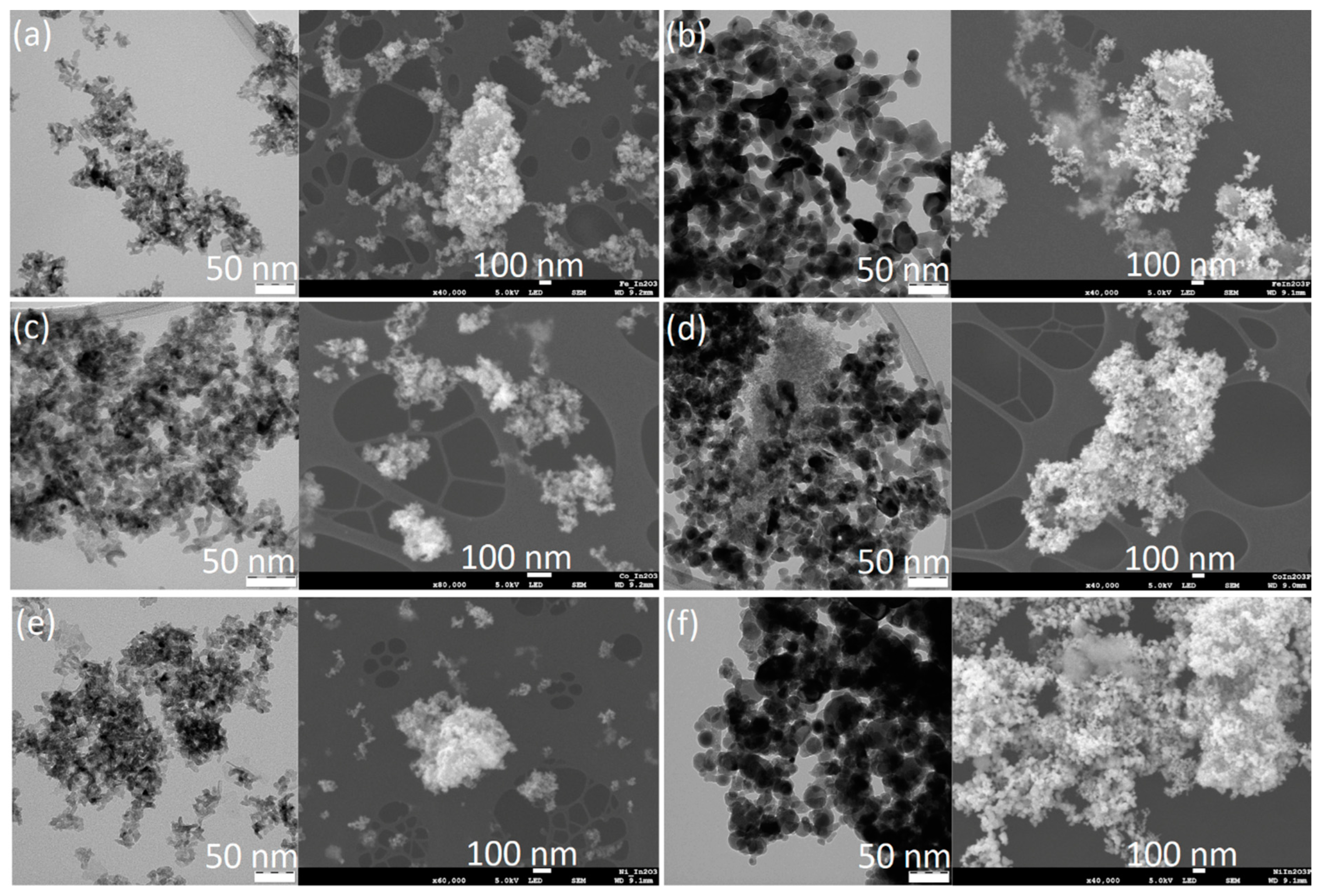 Molecules 29 05325 g001