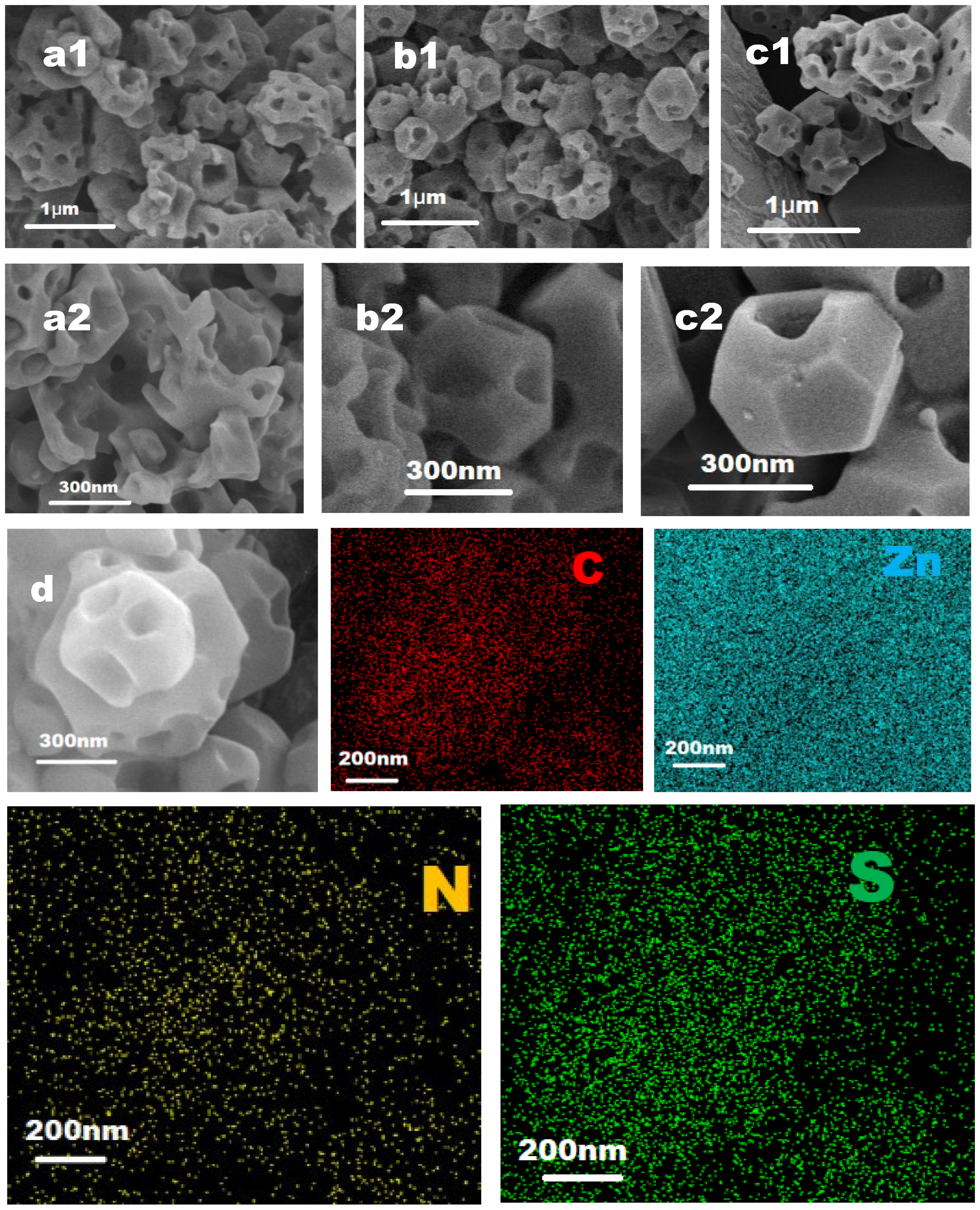 Molecules 29 05330 g007