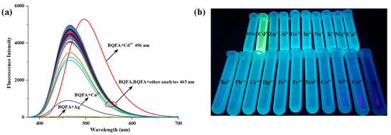 A Ratiometric Fluorescence Probe for Visualized Detection of