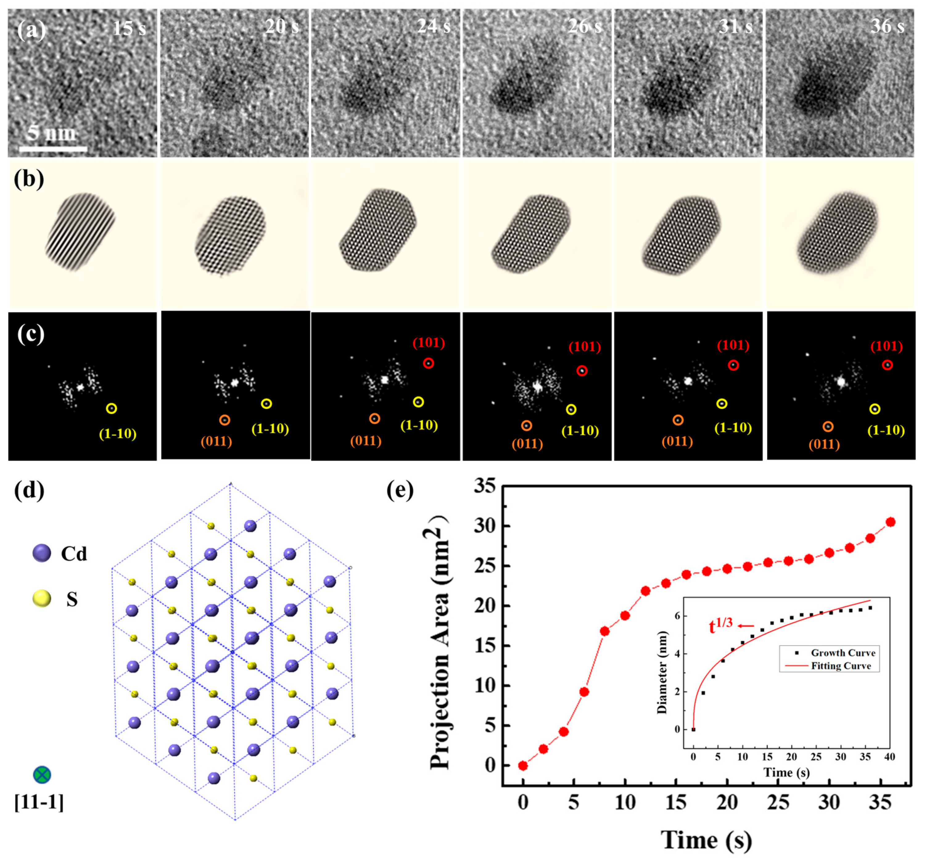 Shape-Controlled Growth and In Situ Characterization of CdS