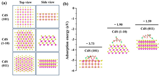 Shape-Controlled Growth and In Situ Characterization of CdS