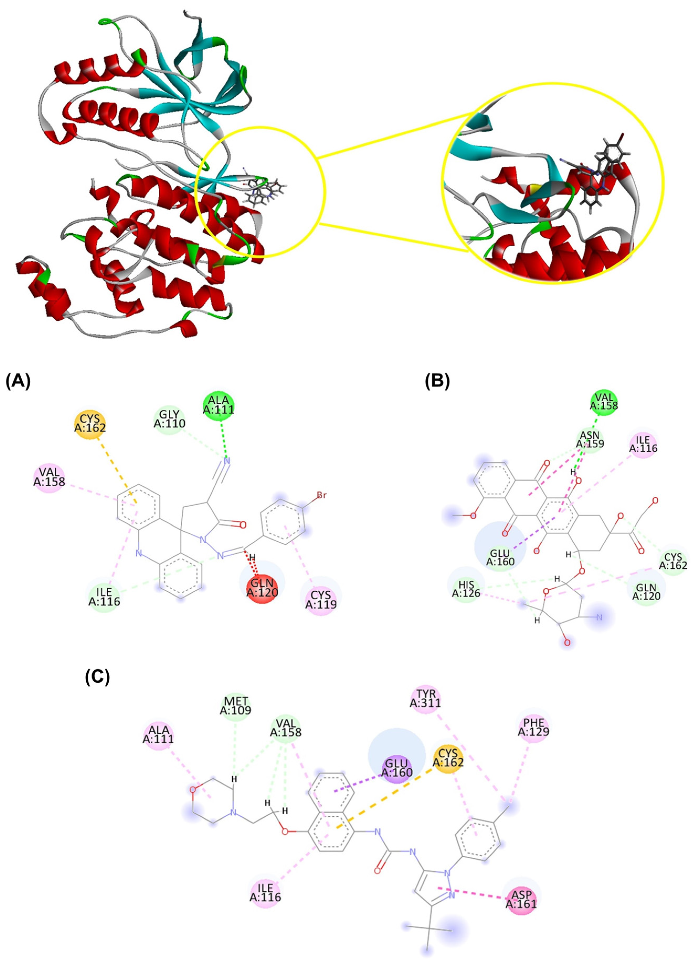 Molecules 29 05344 g005