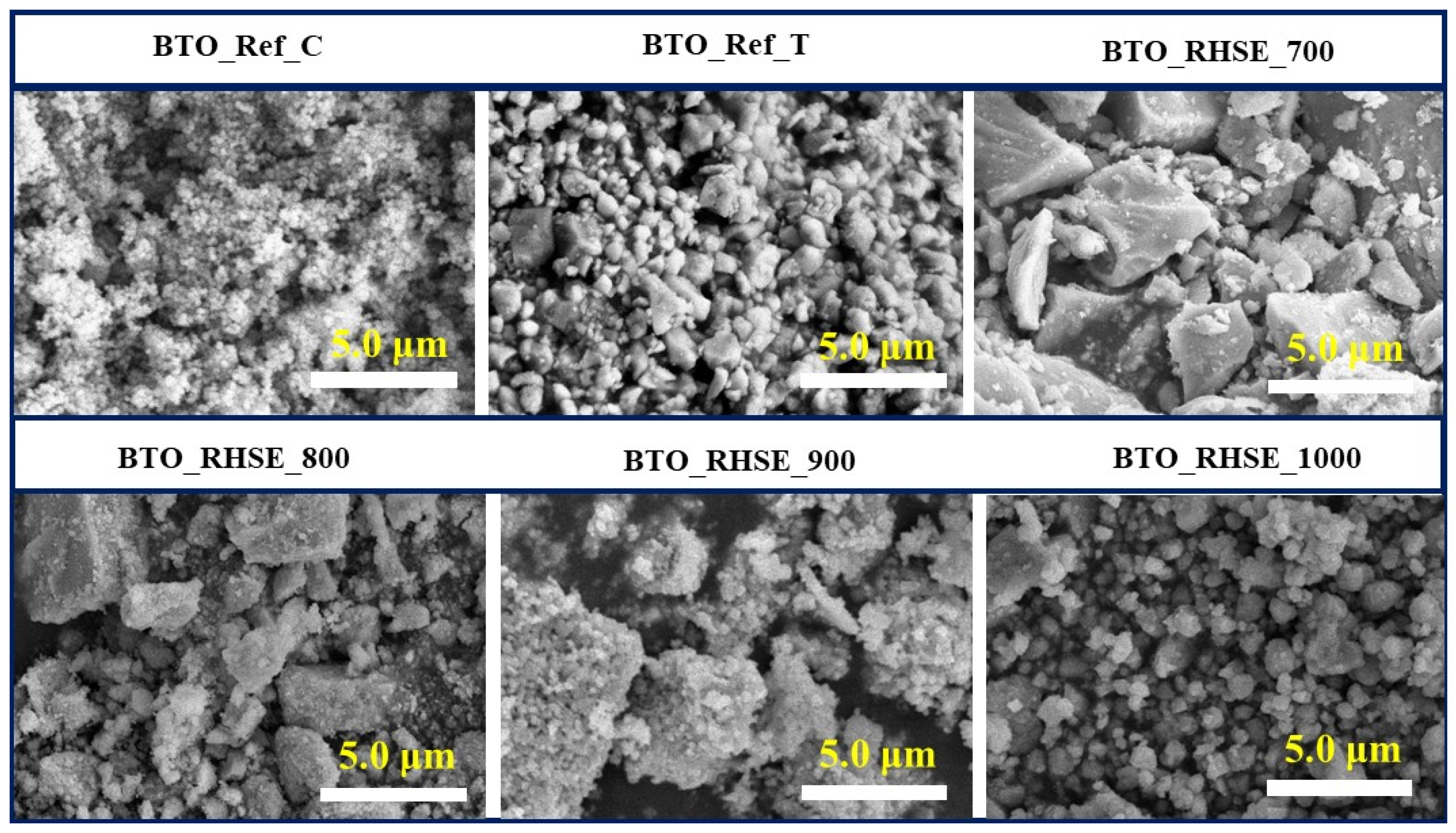 Molecules 29 05350 g002