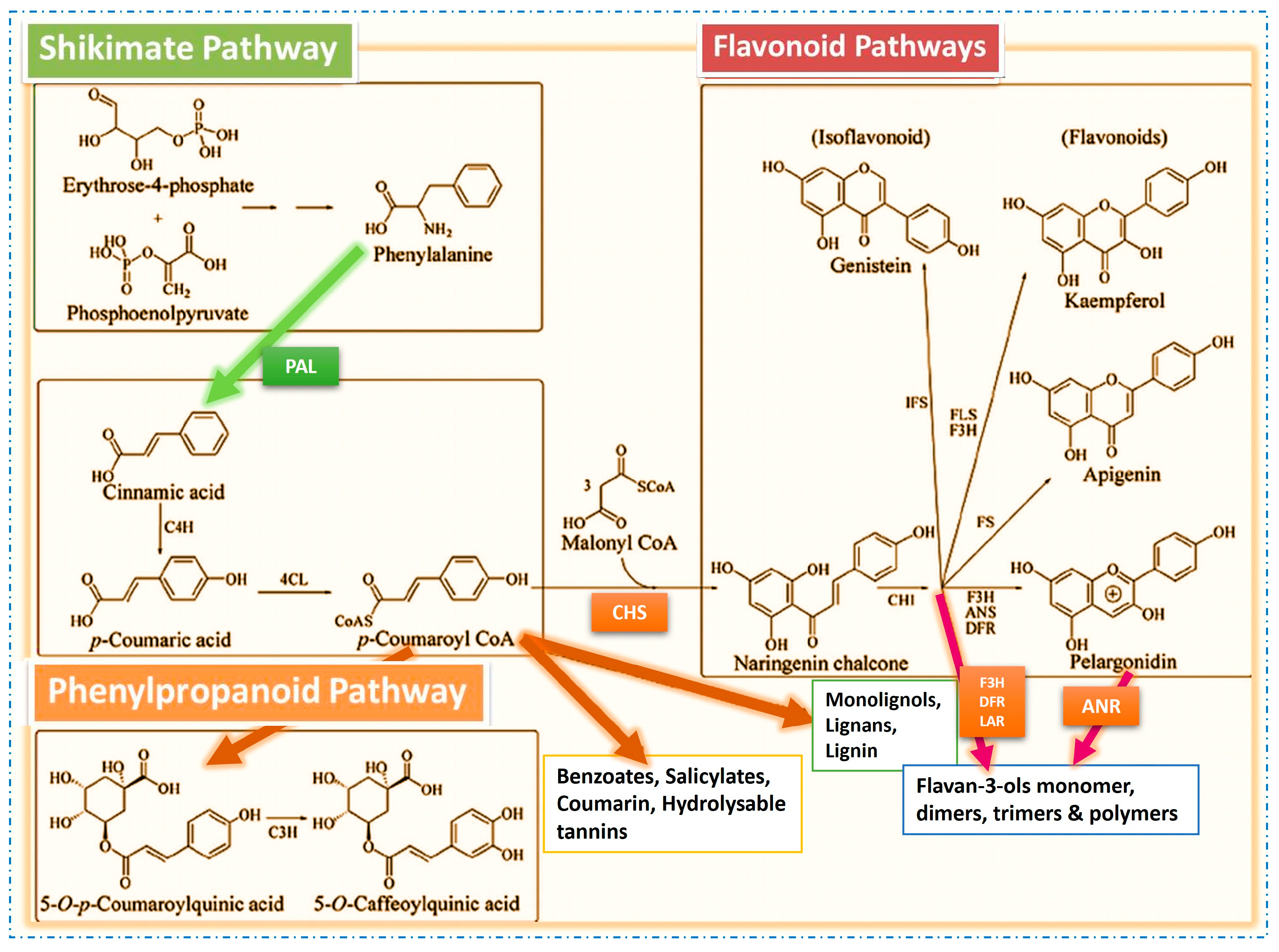 Molecules 29 05351 g001 Molecules 29 05351 g001