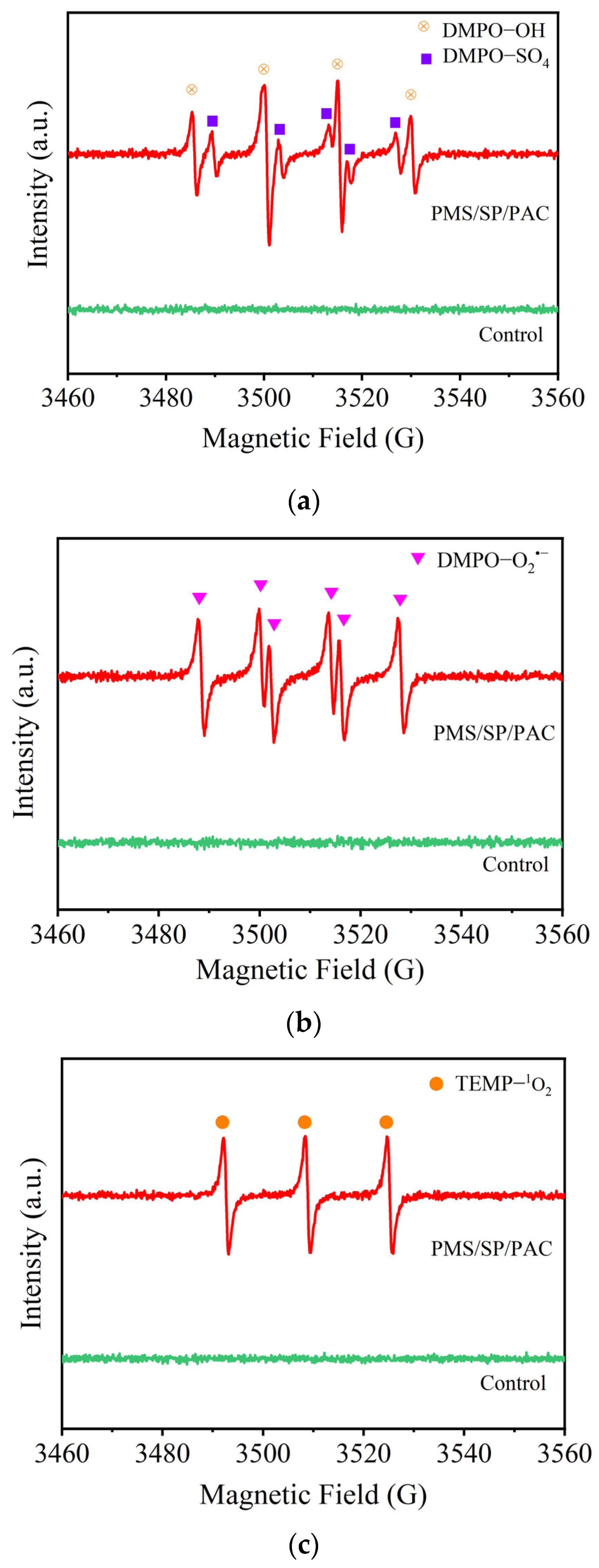 Molecules 29 05352 g007