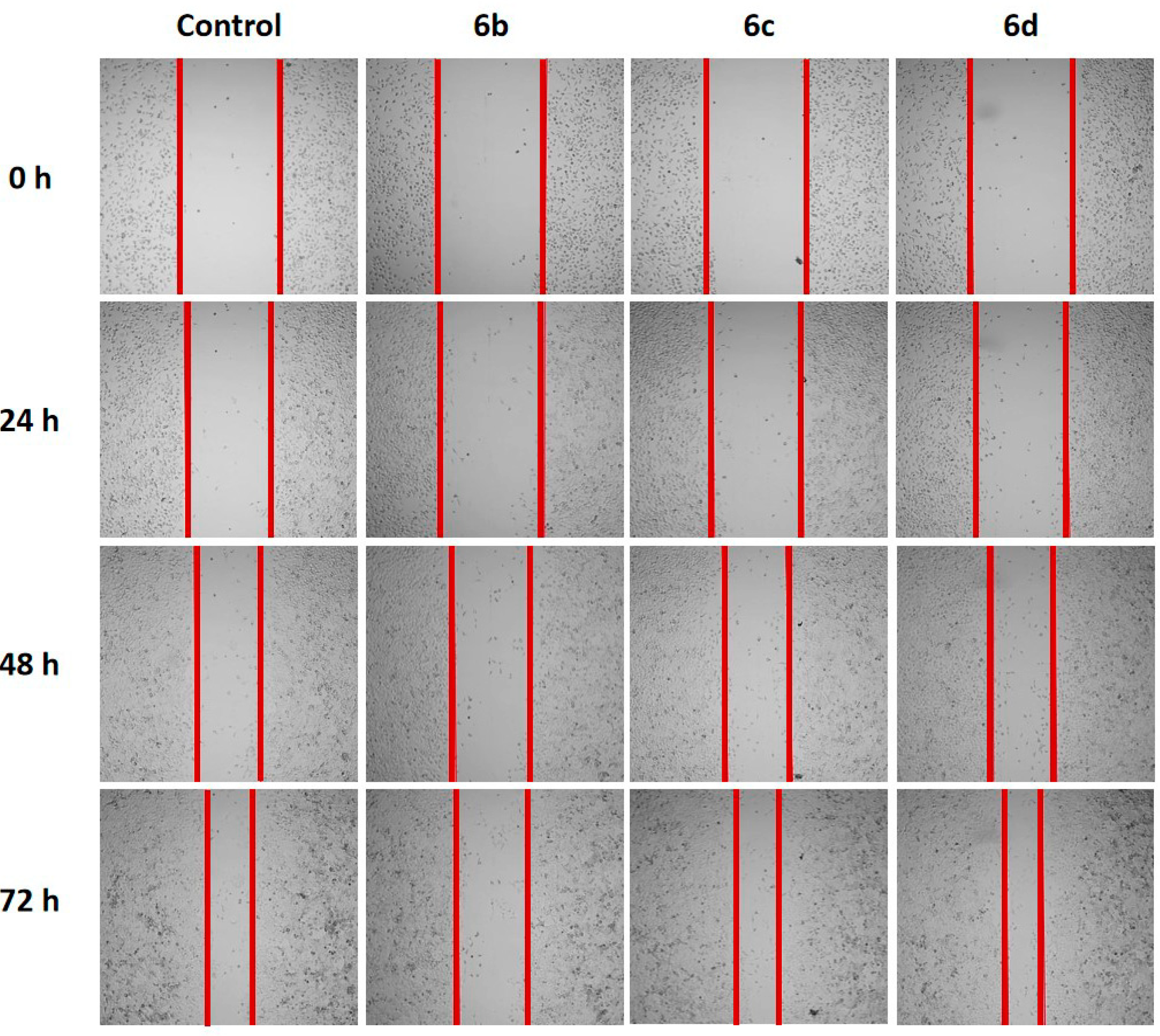 Molecules 29 05360 g004