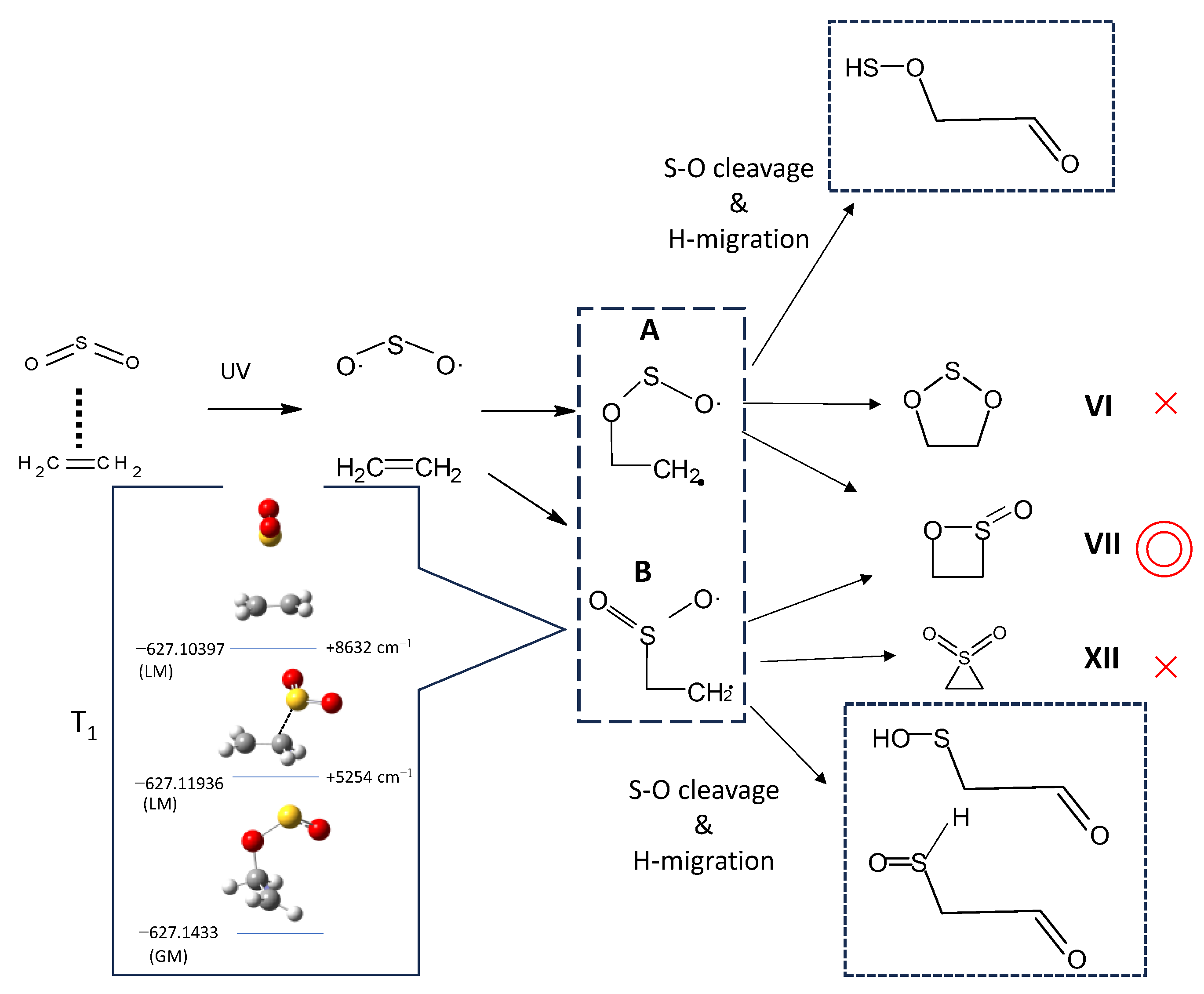 Molecules 29 05362 g006