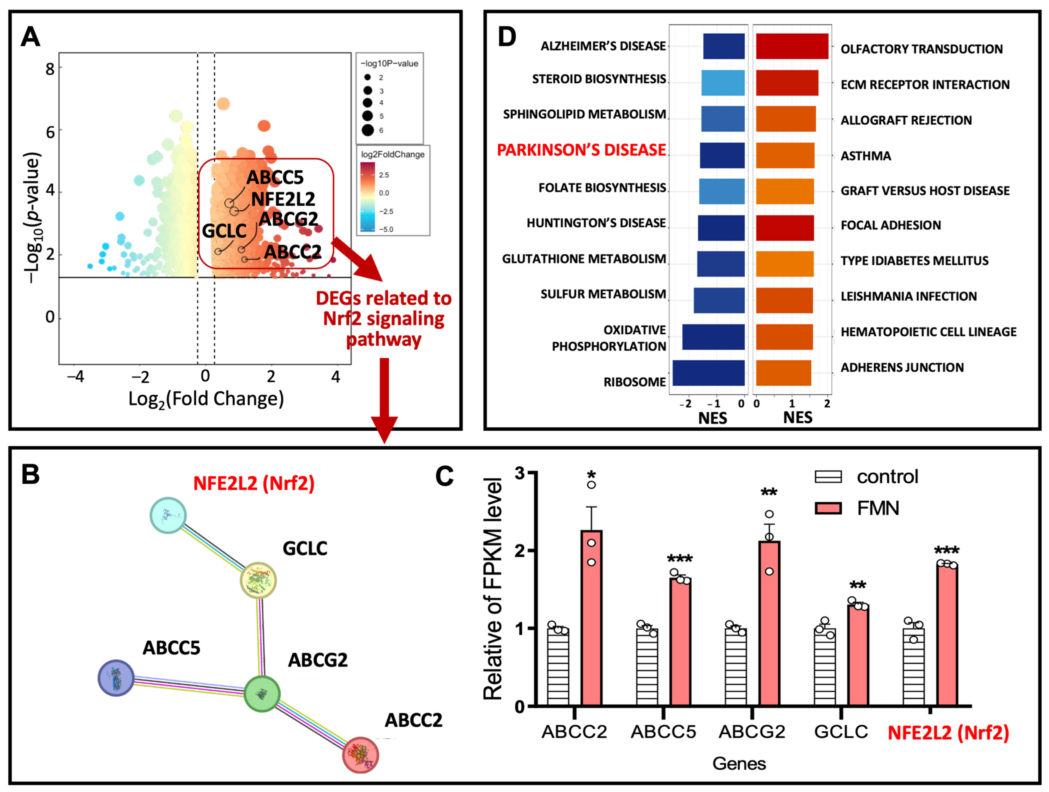 Molecules 29 05364 g004