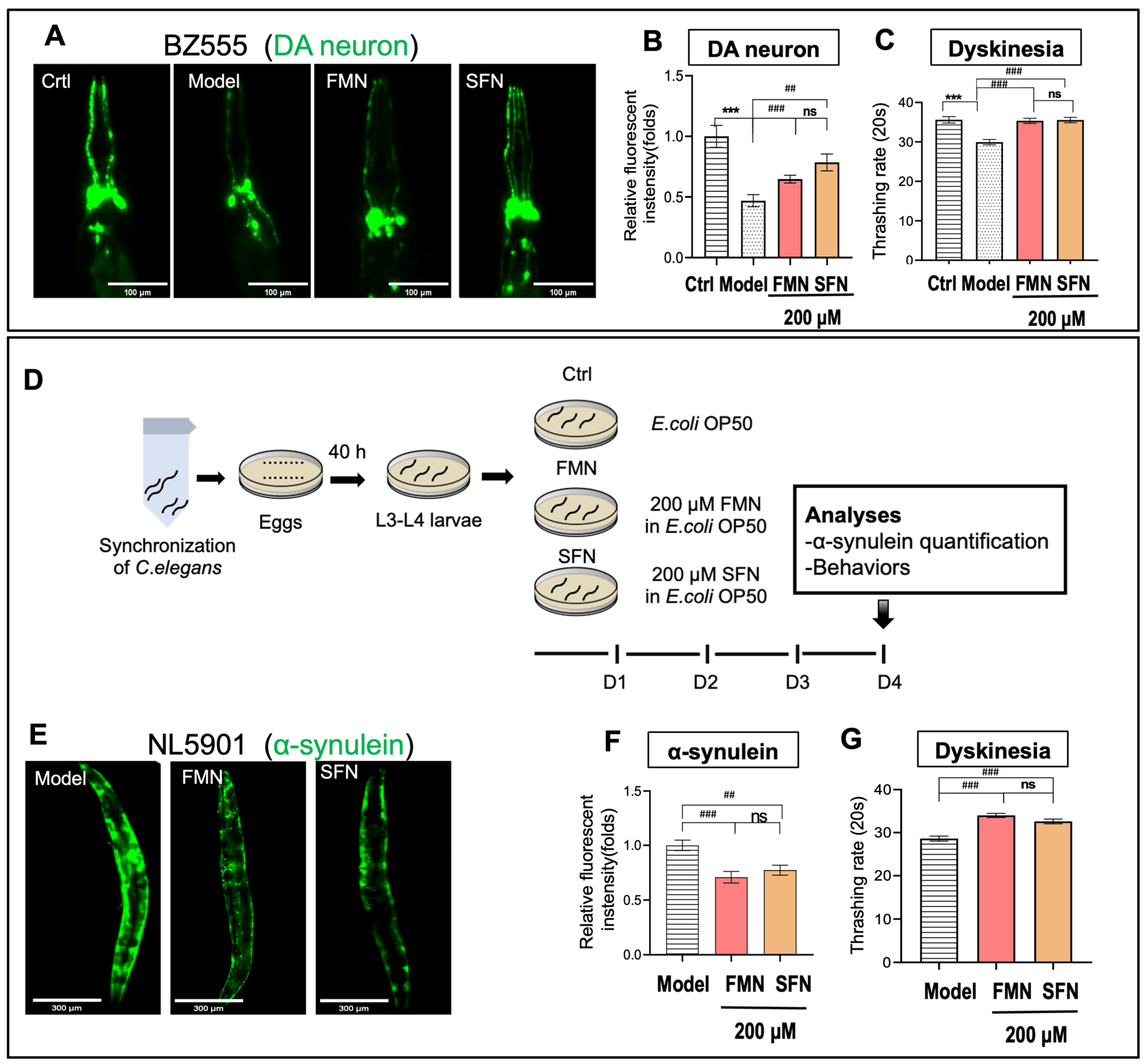 Molecules 29 05364 g006